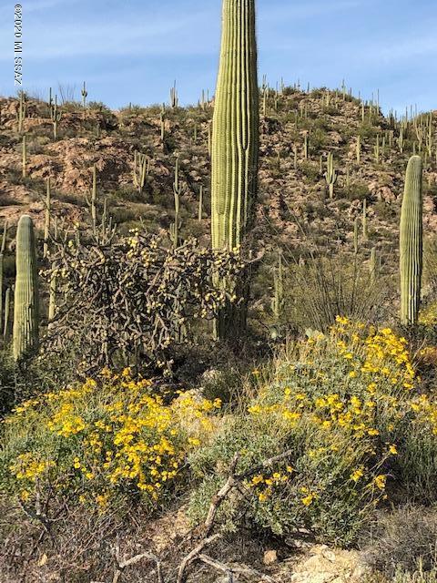 Caliente Canyons (1-7) - Land