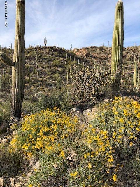 Caliente Canyons (1-7) - Land