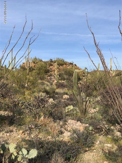 Caliente Canyons (1-7) - Land