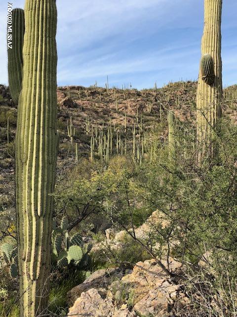 Caliente Canyons (1-7) - Land