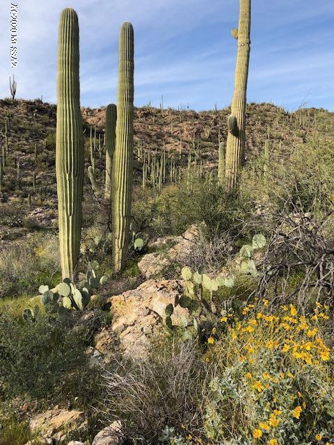 Caliente Canyons (1-7) - Land