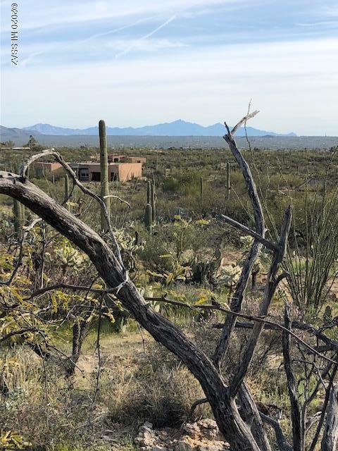 Caliente Canyons (1-7) - Land