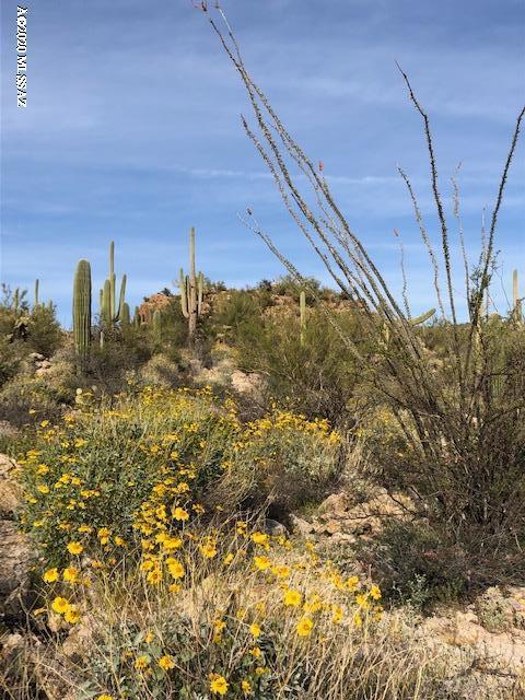 Caliente Canyons (1-7) - Land