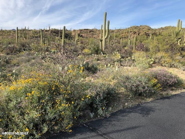 Caliente Canyons (1-7) - Land