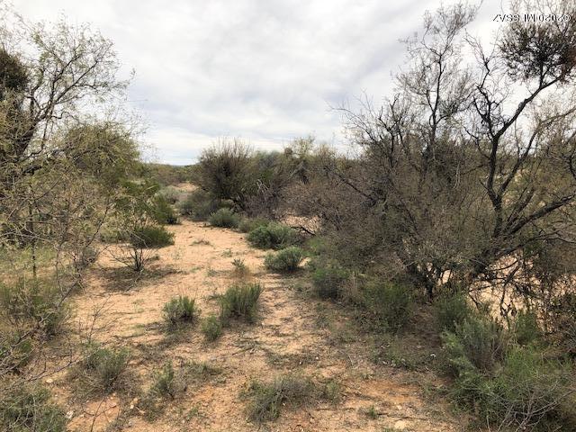 Diamond Bell Ranch - Tucson (1-229) - Land
