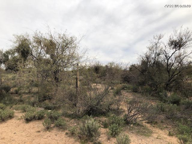 Diamond Bell Ranch - Tucson (1-229) - Land