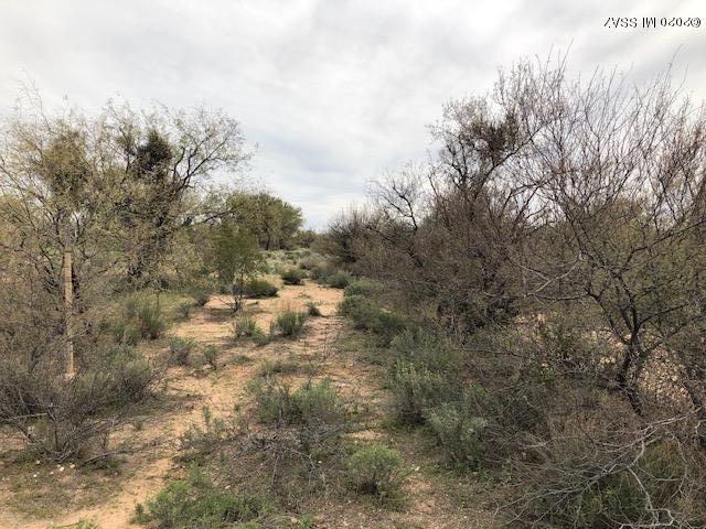 Diamond Bell Ranch - Tucson (1-229) - Land