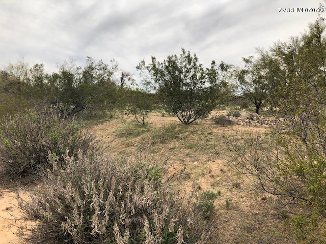 Diamond Bell Ranch - Tucson (1-229) - Land