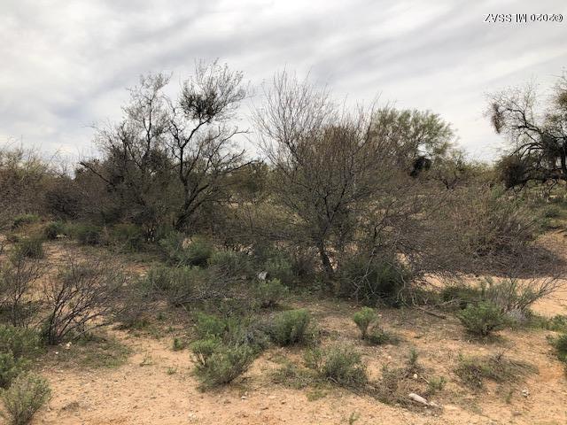 Diamond Bell Ranch - Tucson (1-229) - Land