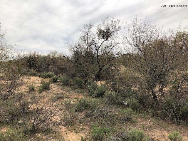 Diamond Bell Ranch - Tucson (1-229) - Land