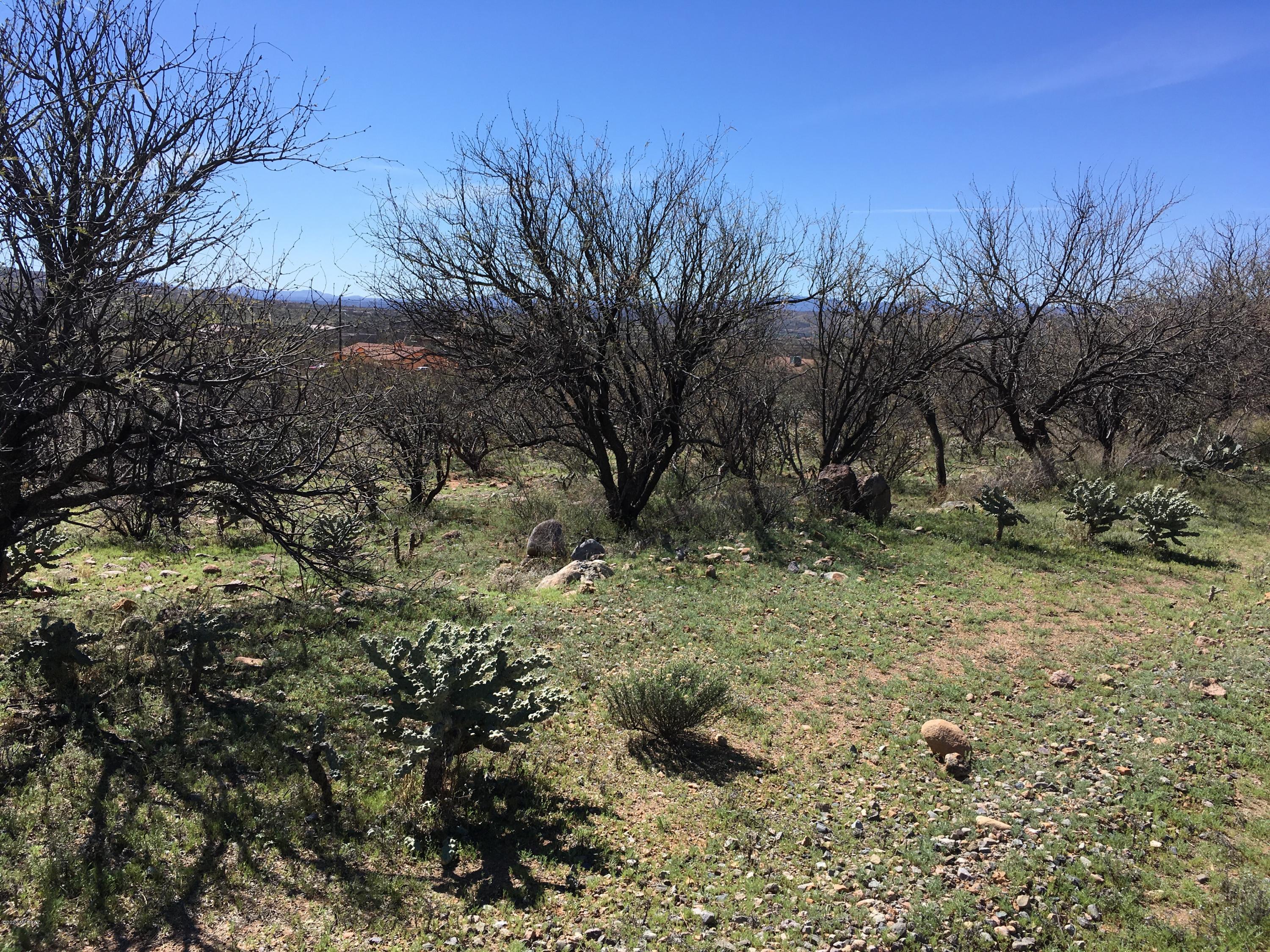 Rio Rico Villas 11 - Land