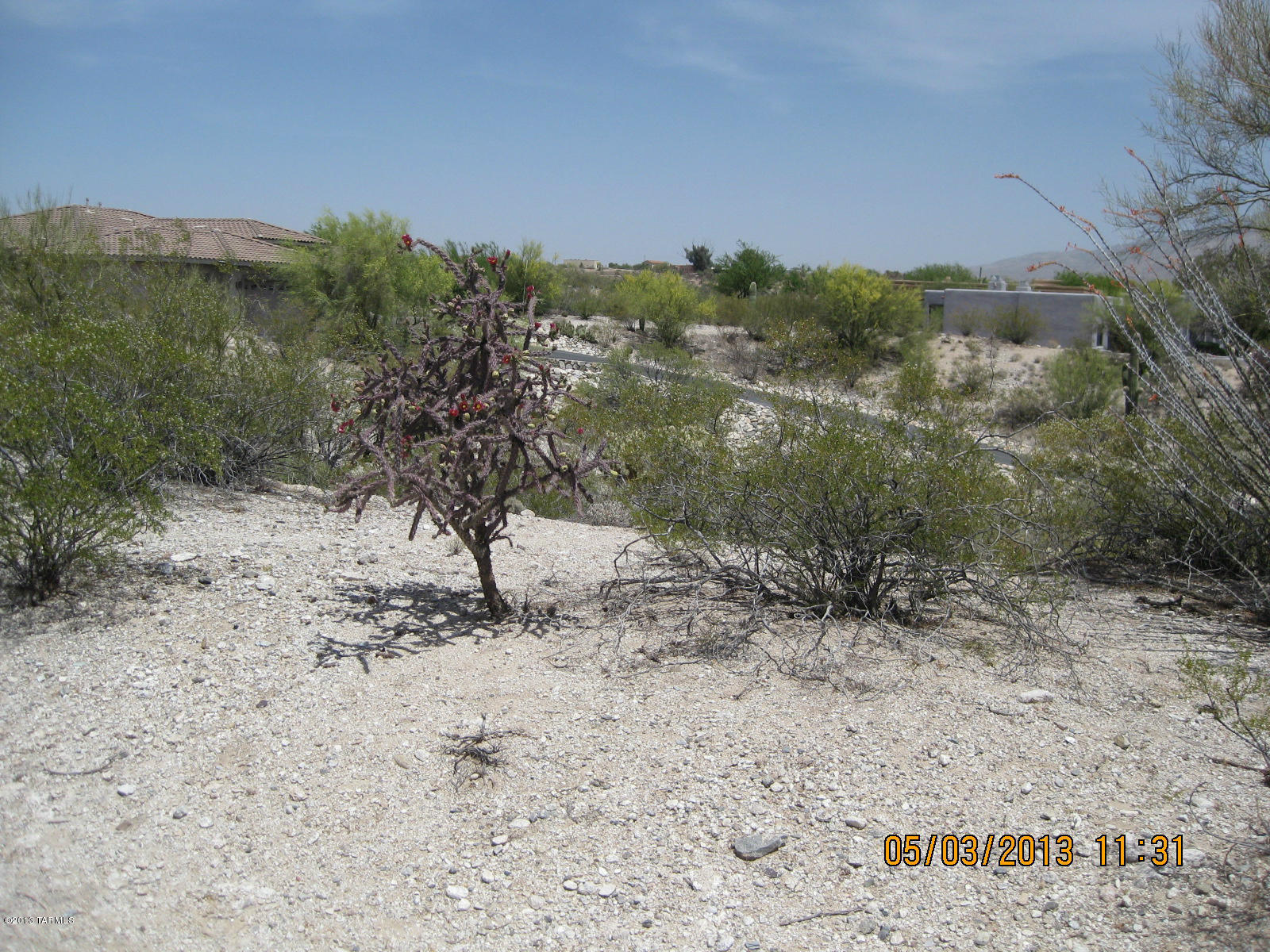 Rancho Cancion West (1-150) - Land