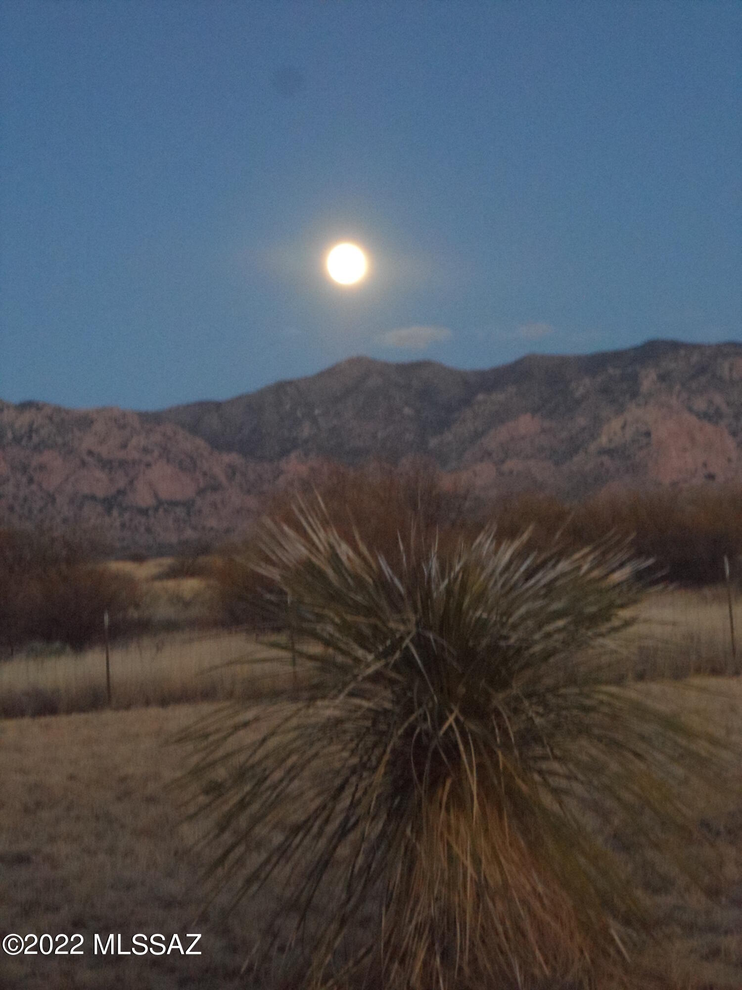 Dragoon Mountain Ranch - Residential