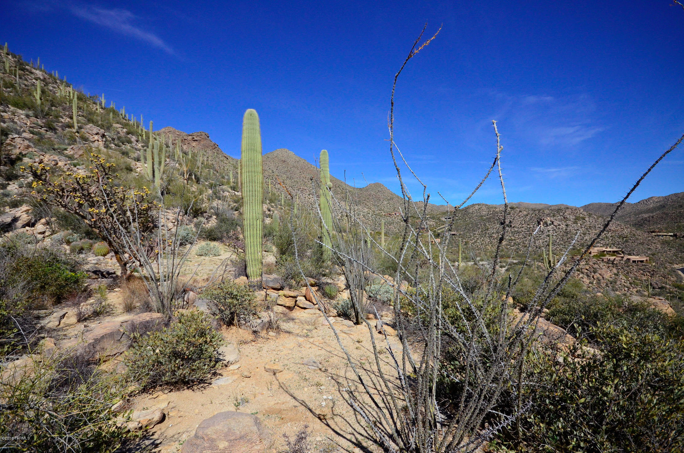 Canyon Pass At Dove Mountain - Land