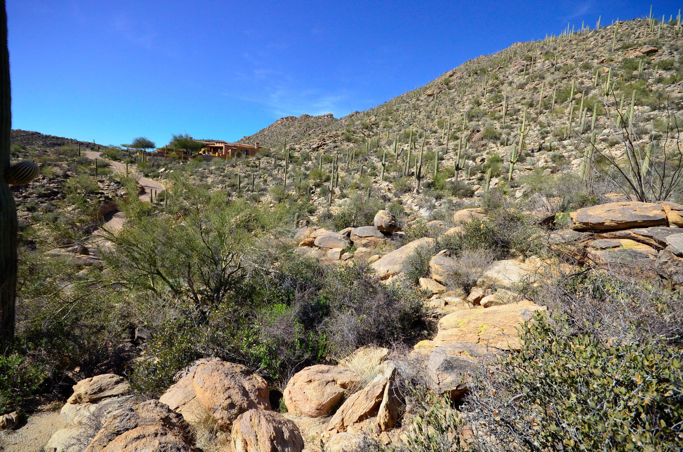 Canyon Pass At Dove Mountain - Land