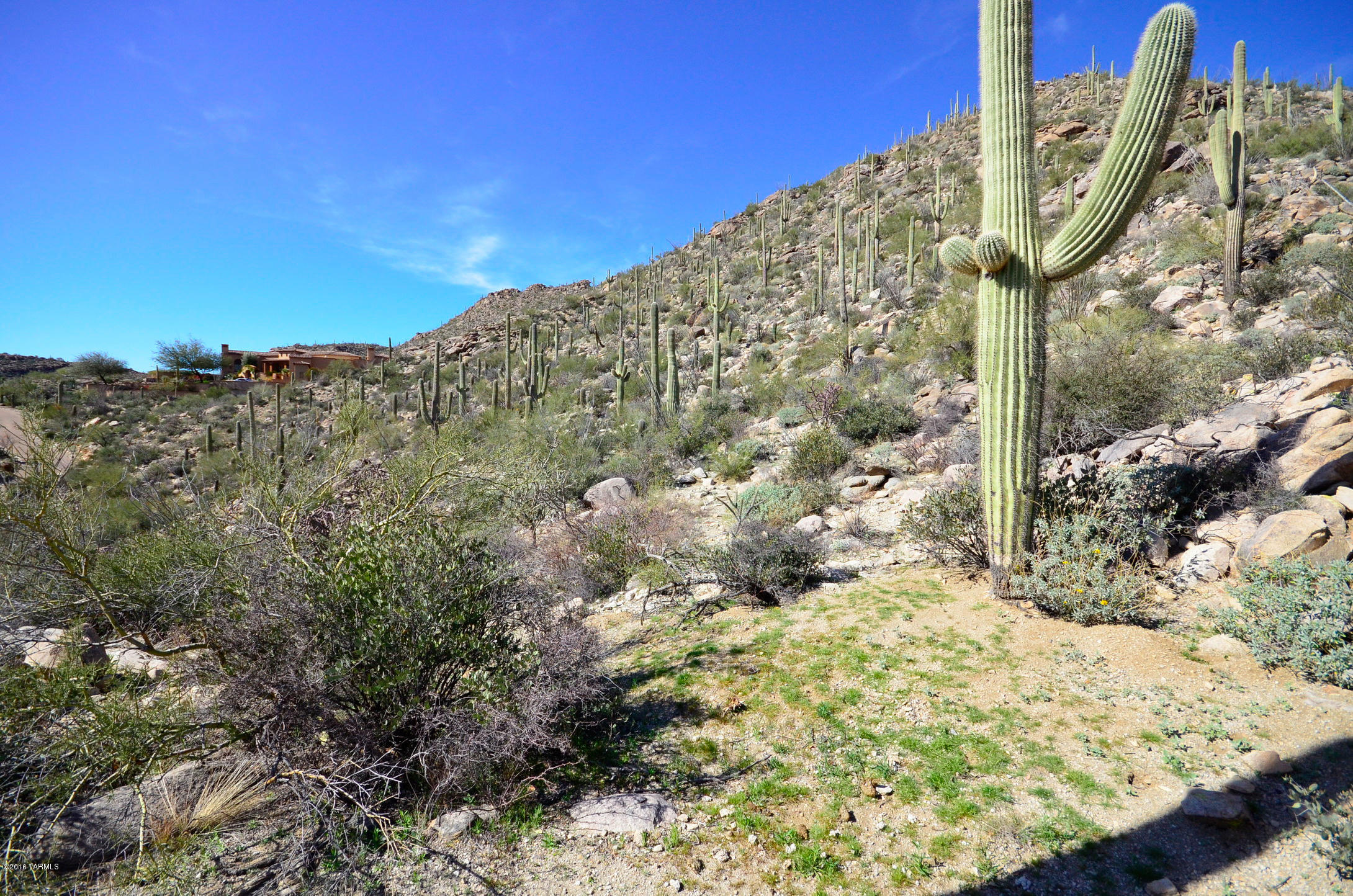 Canyon Pass At Dove Mountain - Land