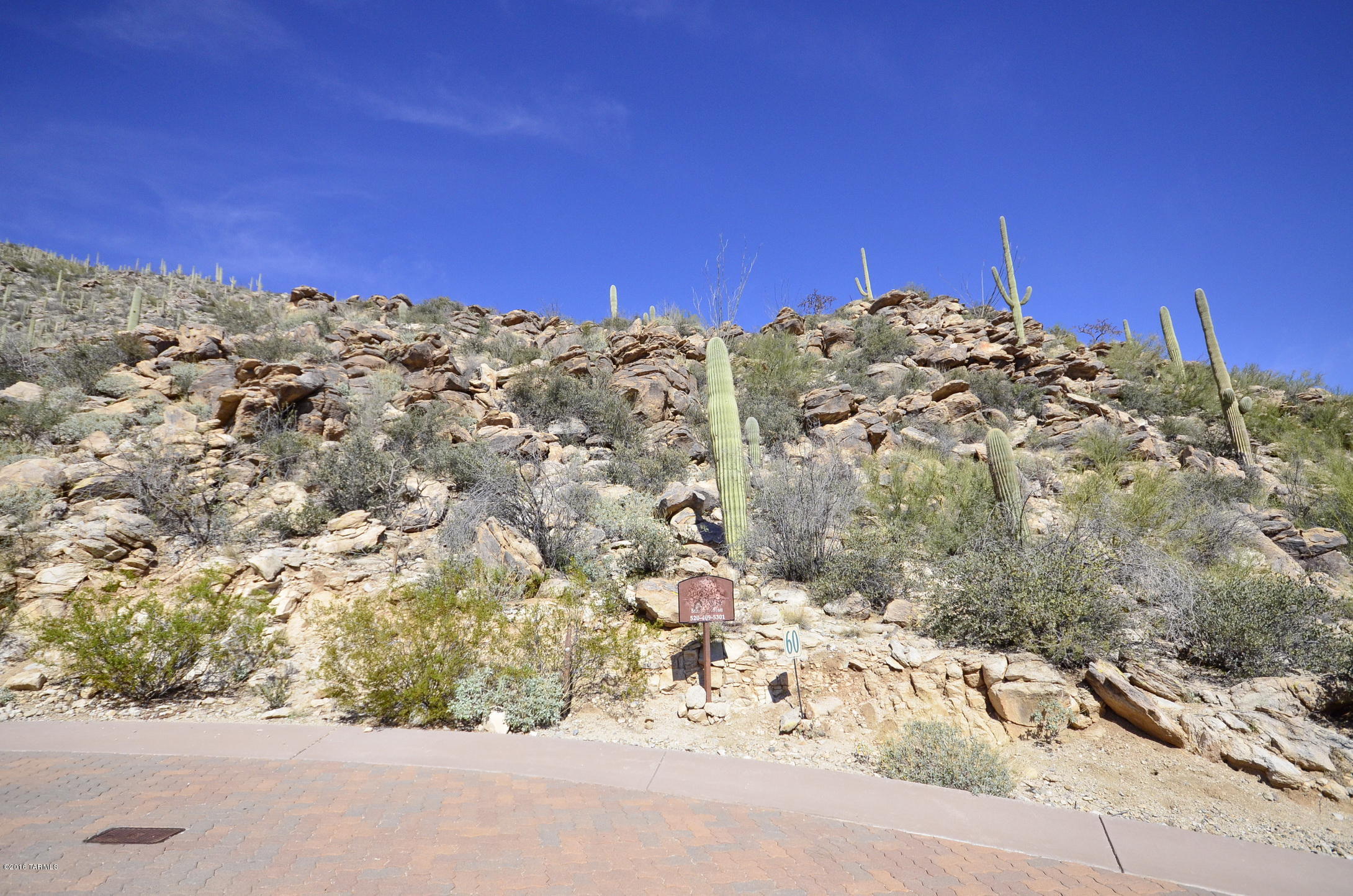 Canyon Pass At Dove Mountain - Land
