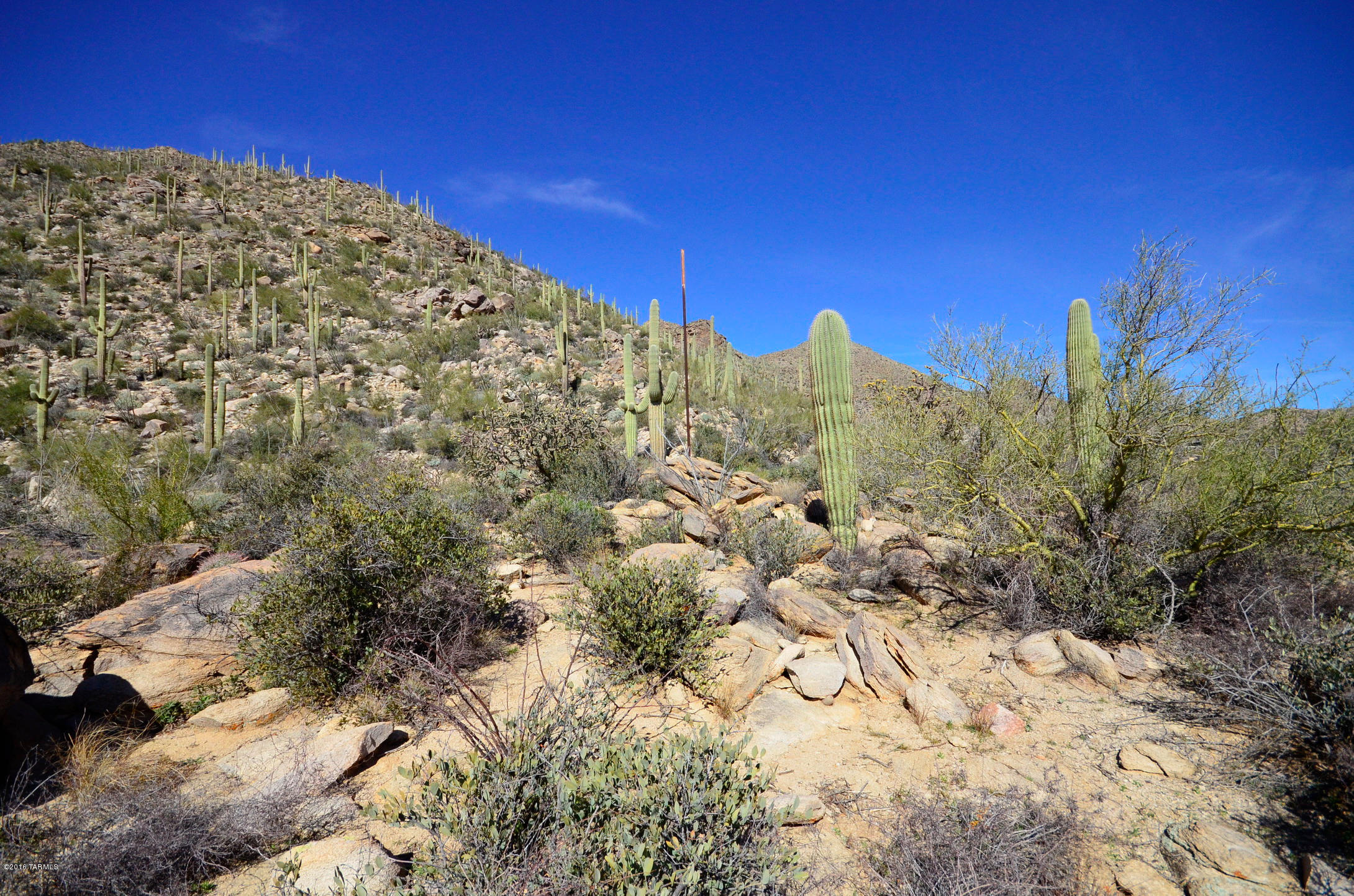 Canyon Pass At Dove Mountain - Land