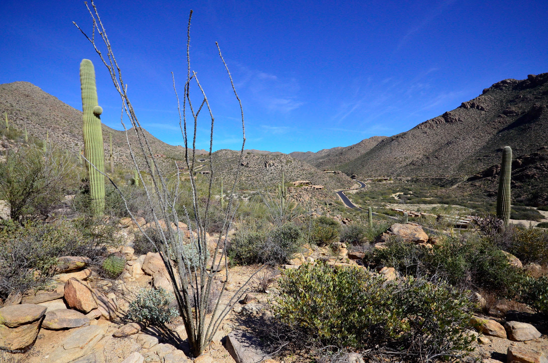 Canyon Pass At Dove Mountain - Land