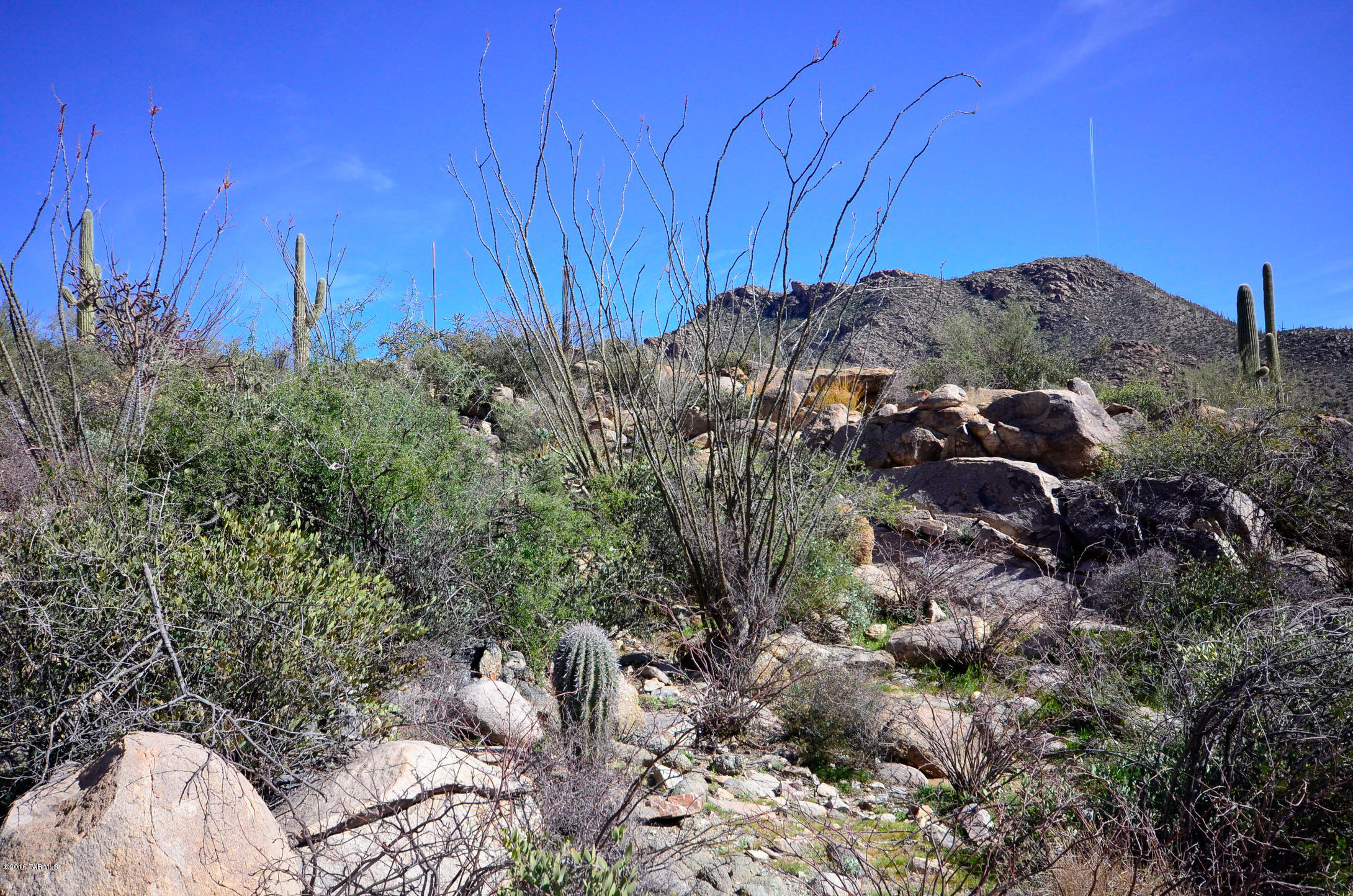 Canyon Pass At Dove Mountain - Land