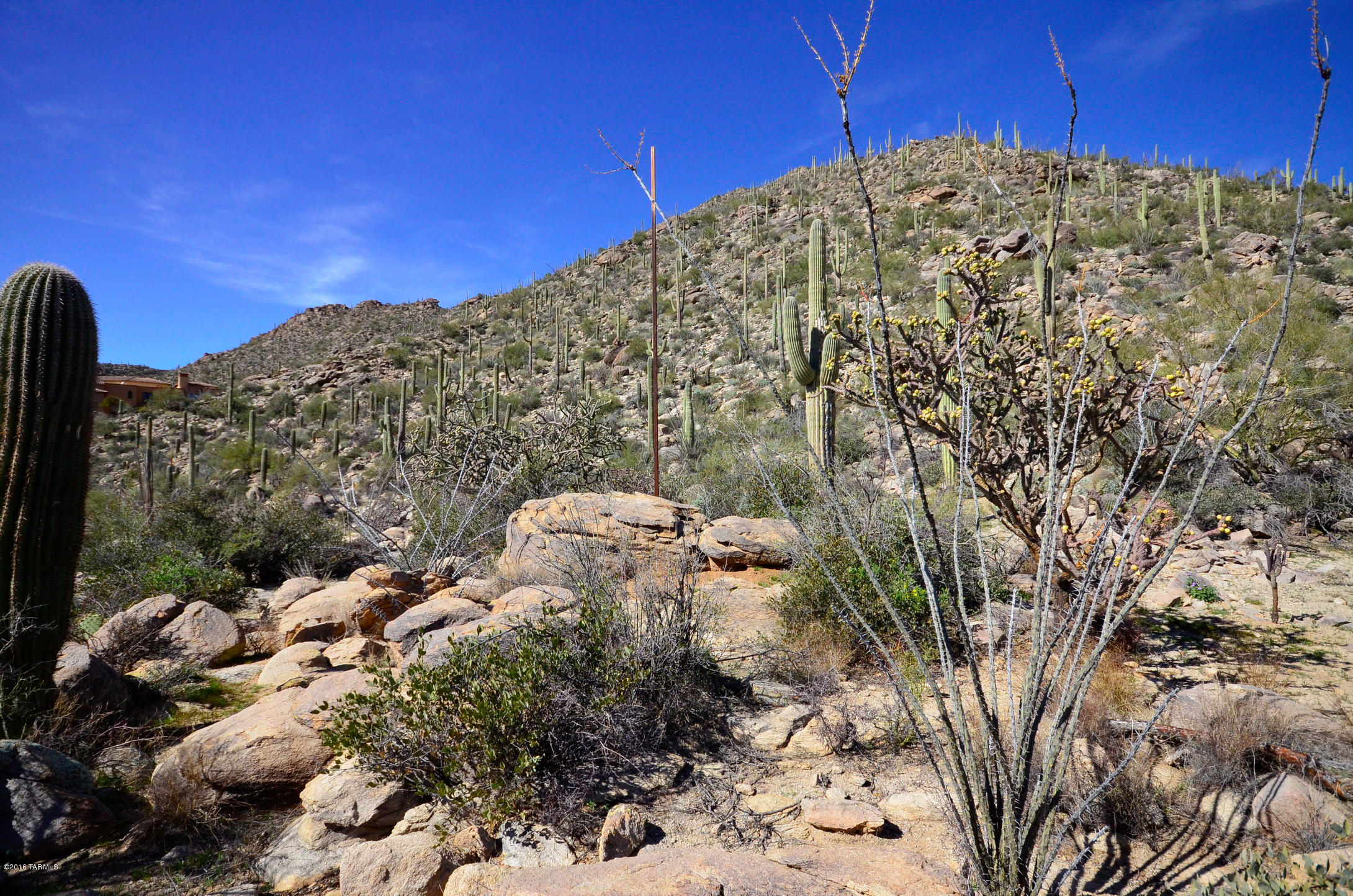 Canyon Pass At Dove Mountain - Land