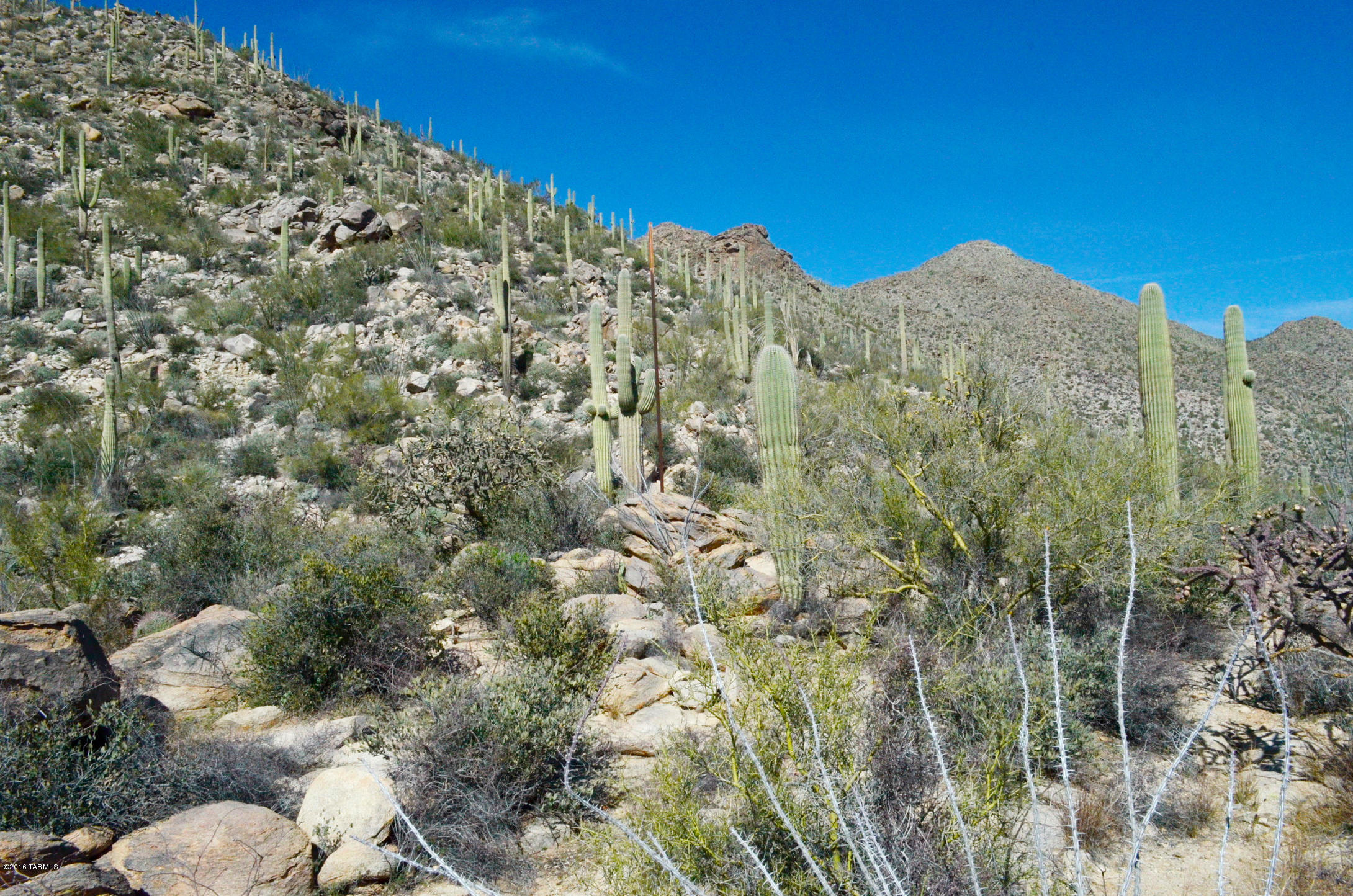 Canyon Pass At Dove Mountain - Land