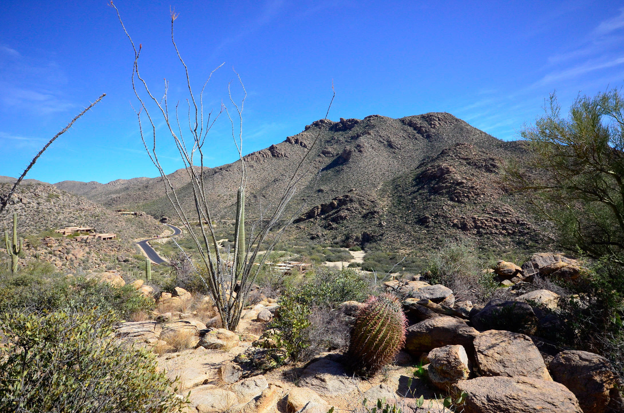Canyon Pass At Dove Mountain - Land