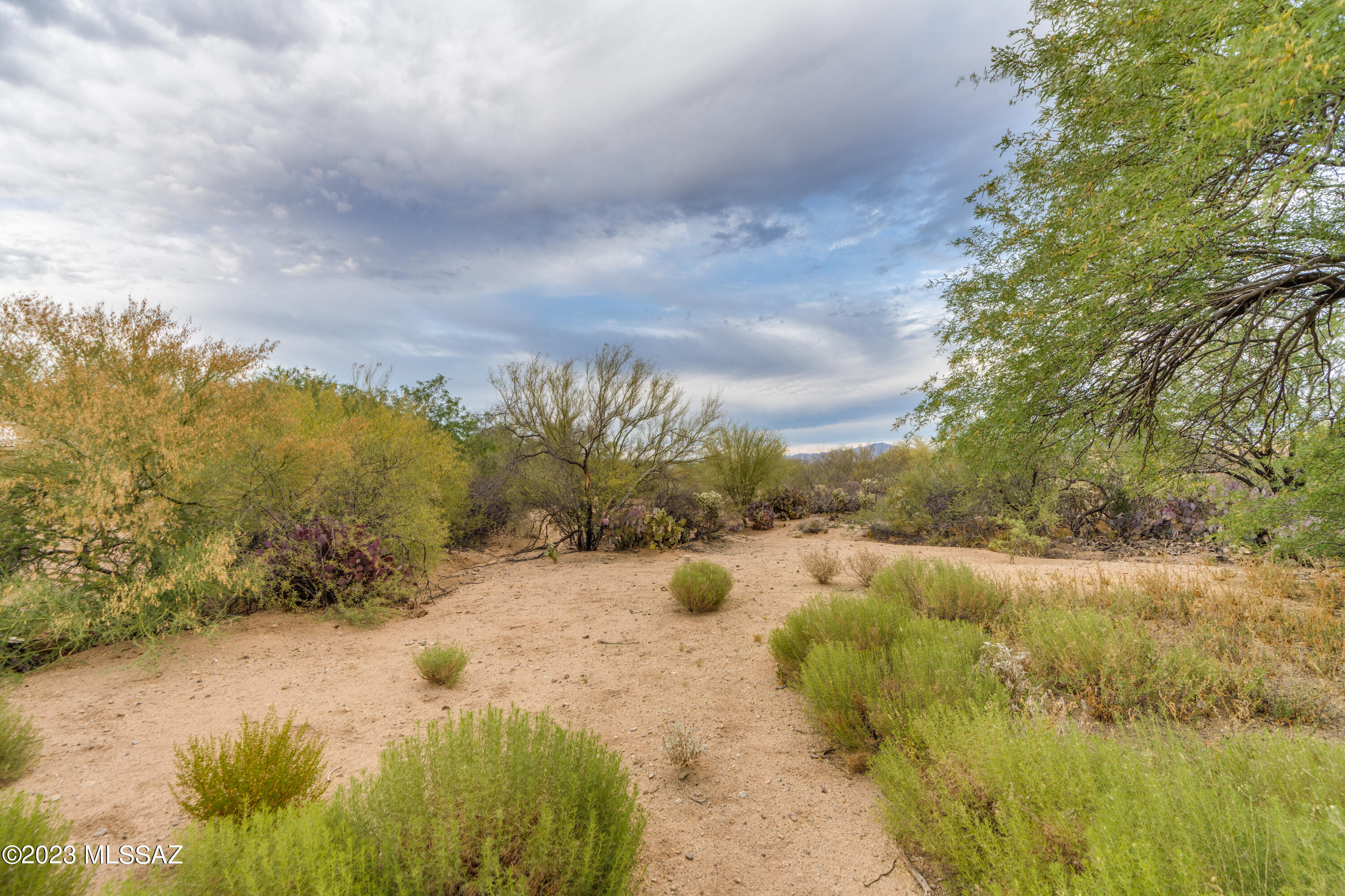 Rancho Buena Vista (1-29) - Residential