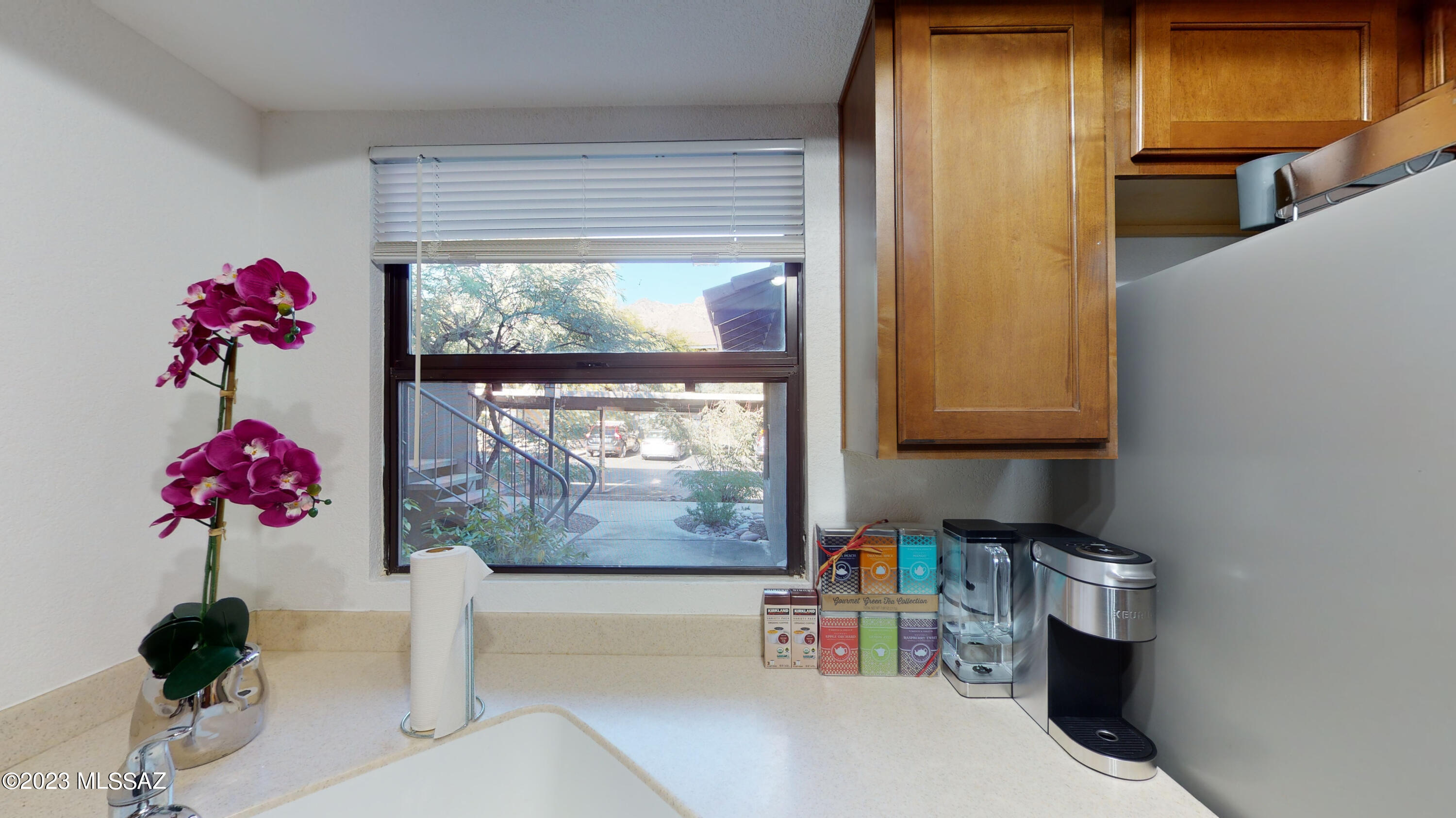 Greens at Ventana Canyon - Residential