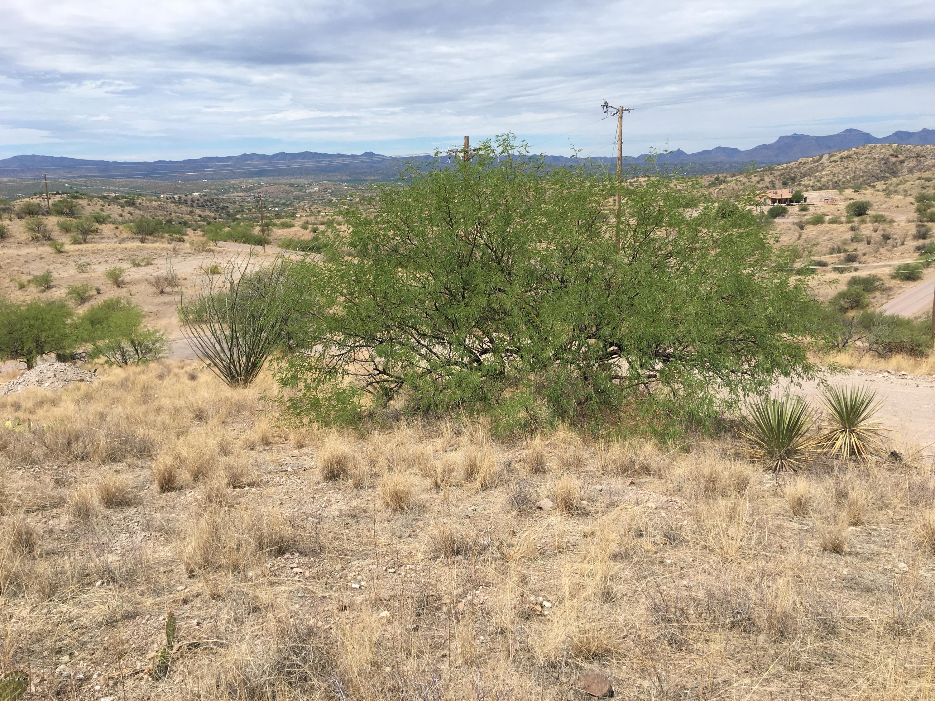 Rio Rico Ranchettes 14 - Land