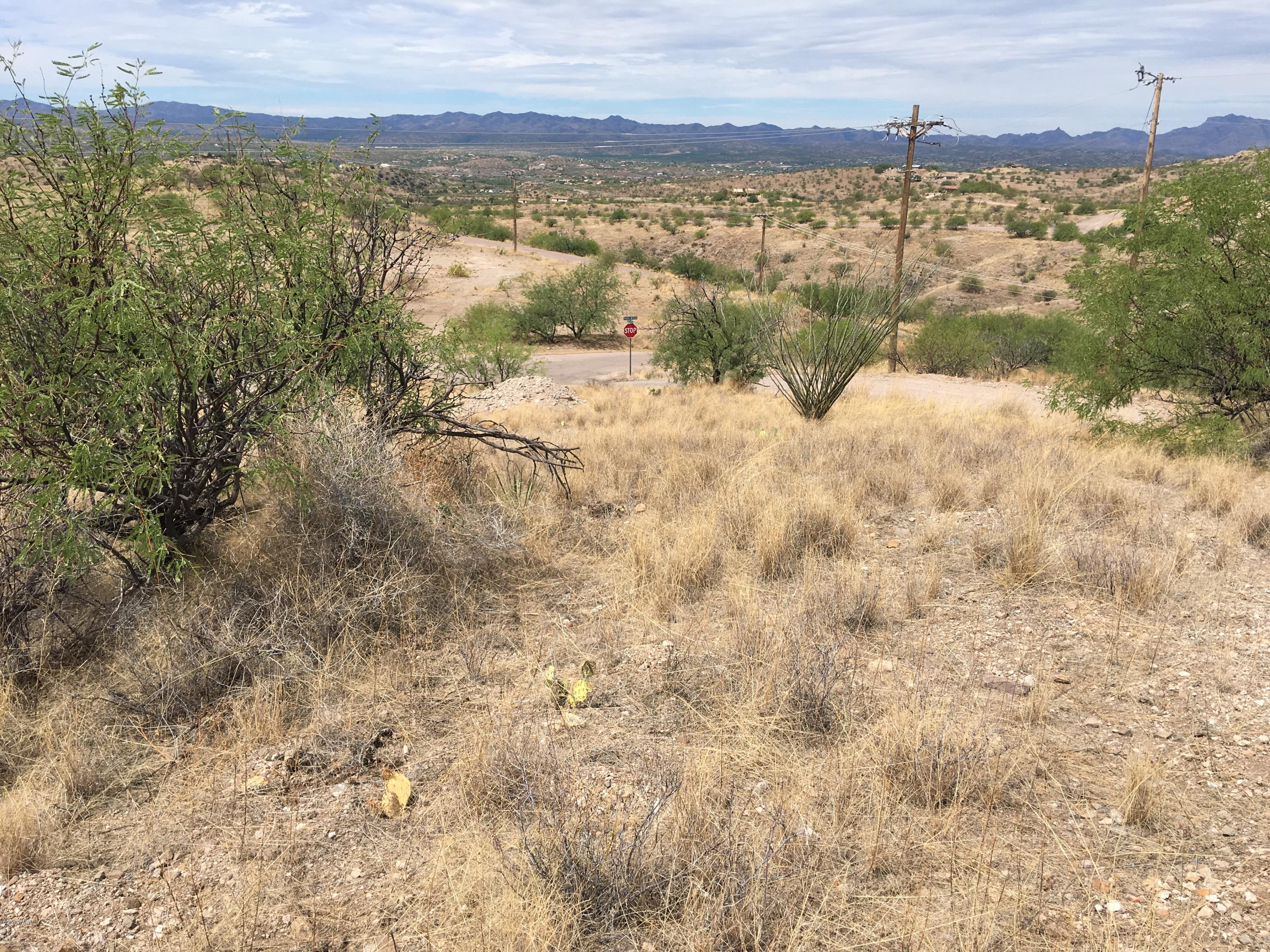 Rio Rico Ranchettes 14 - Land