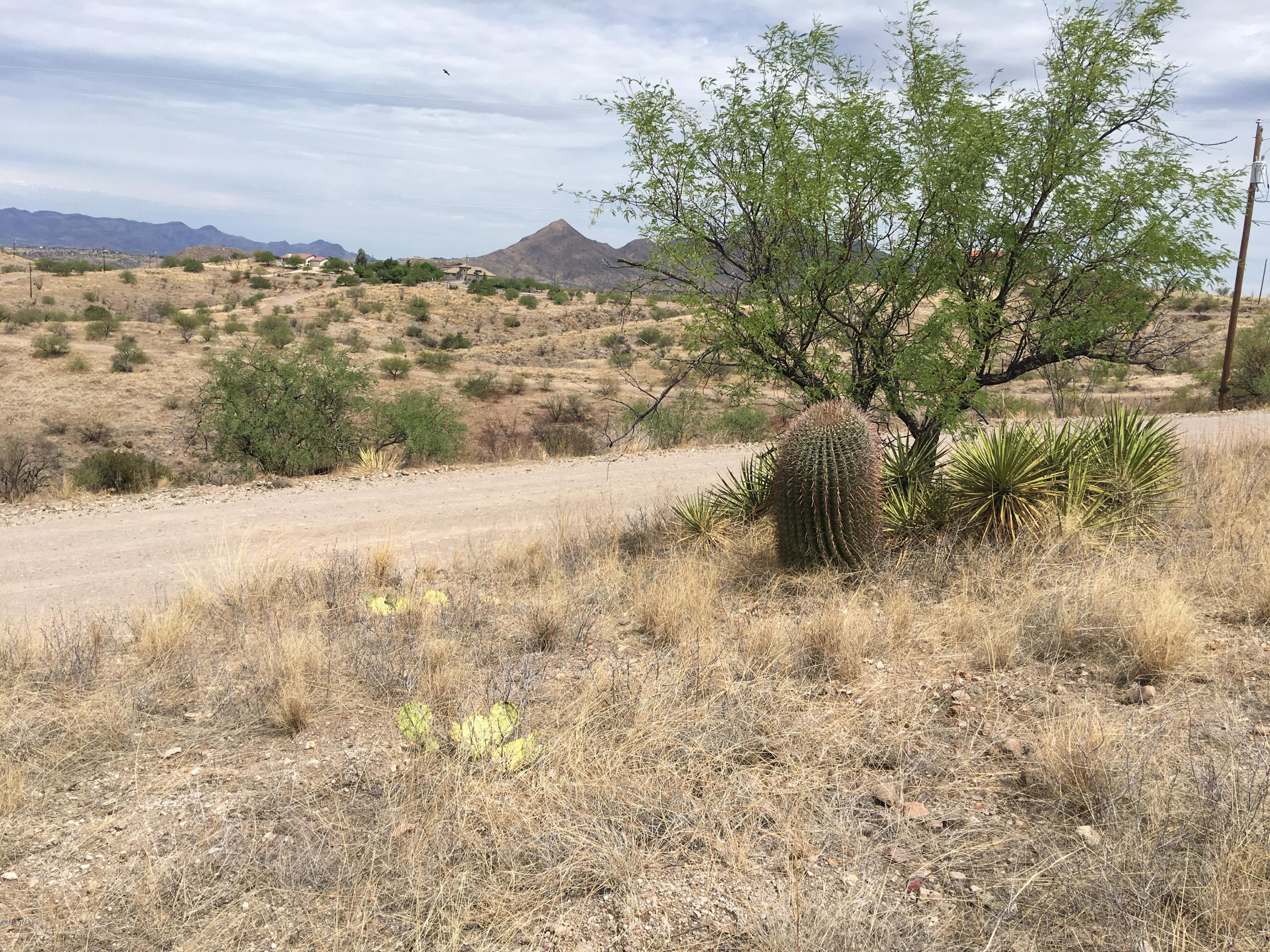 Rio Rico Ranchettes 14 - Land