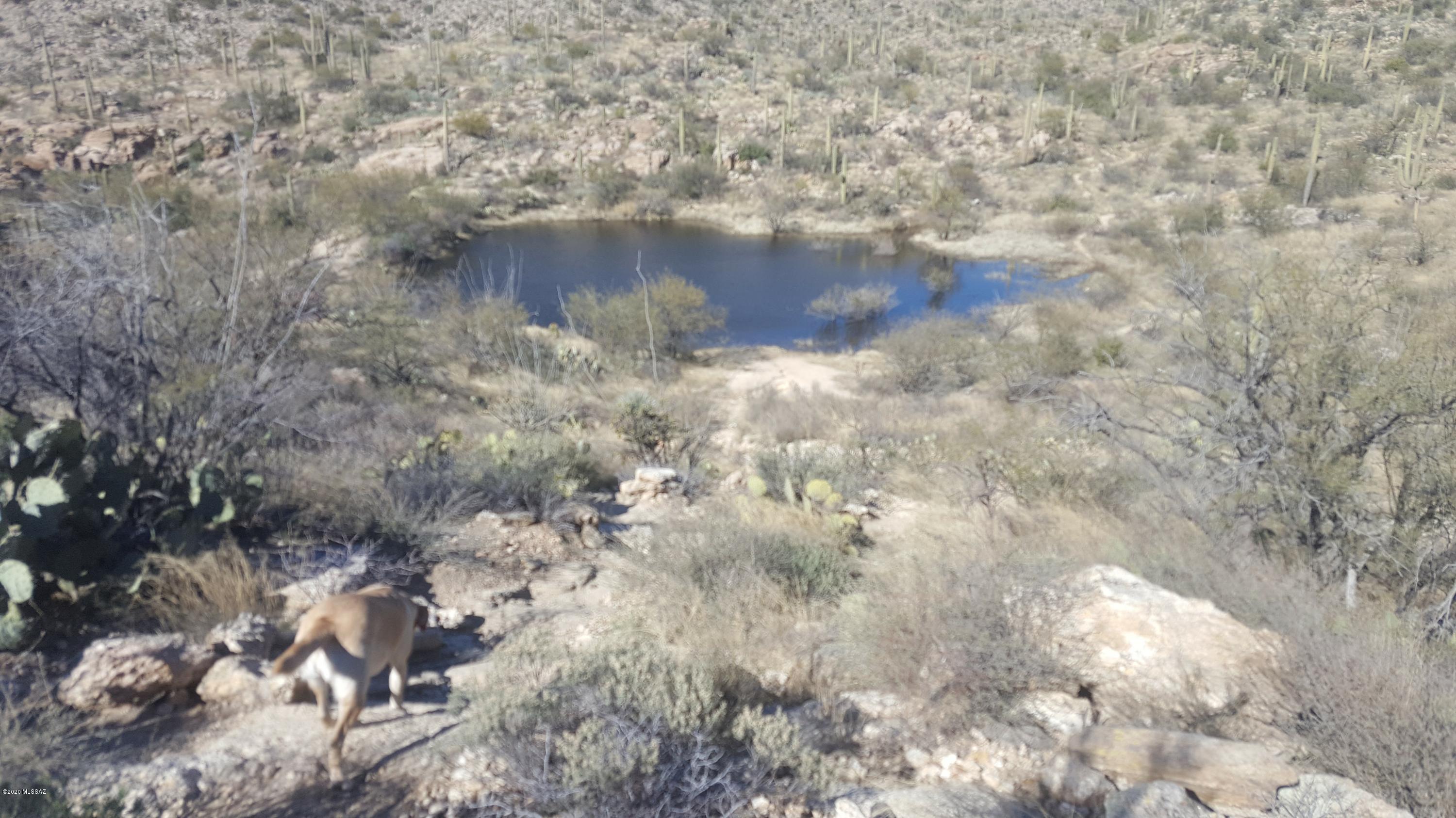 Palo Verde Ranch - Land