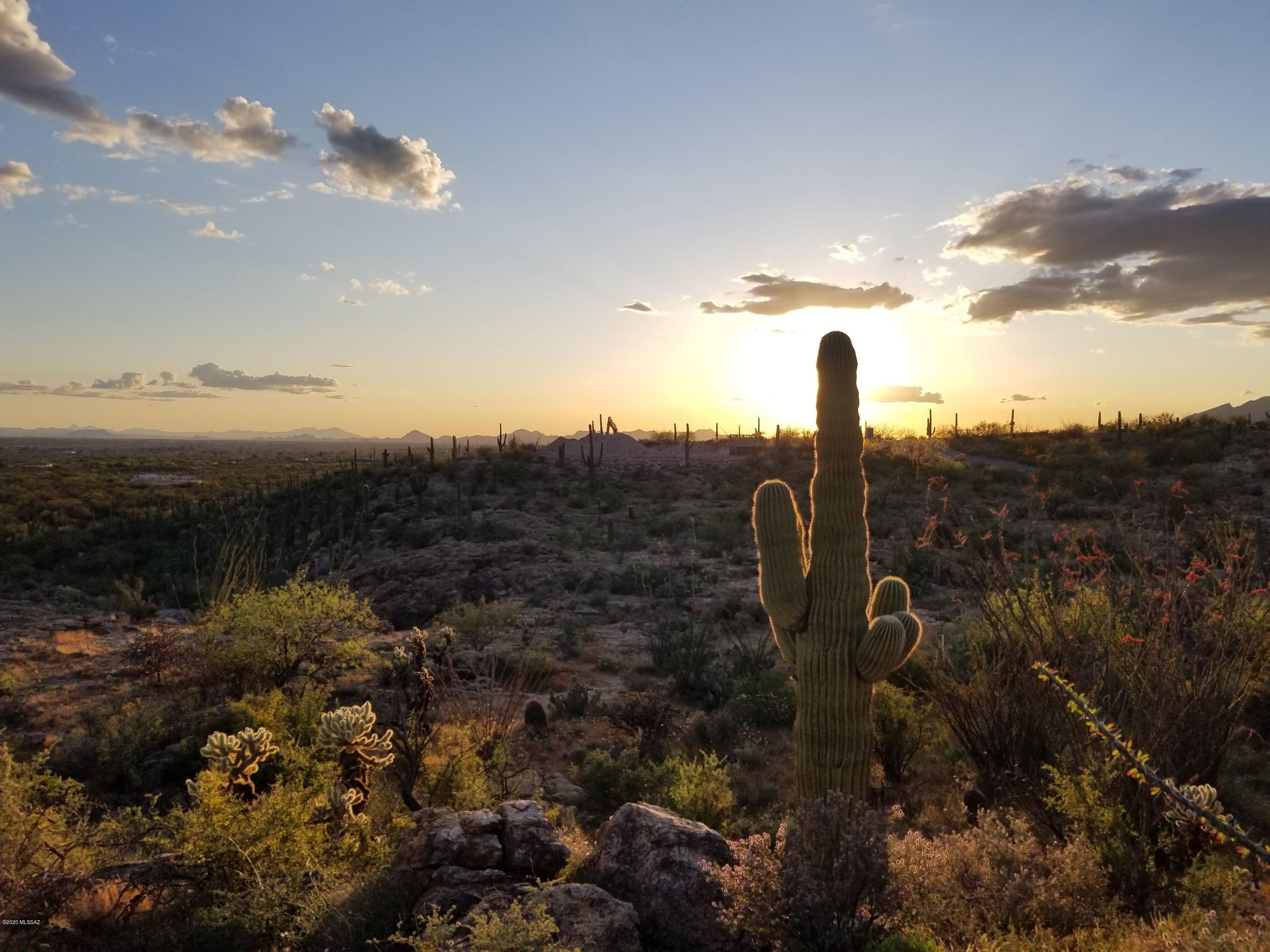 Palo Verde Ranch - Land