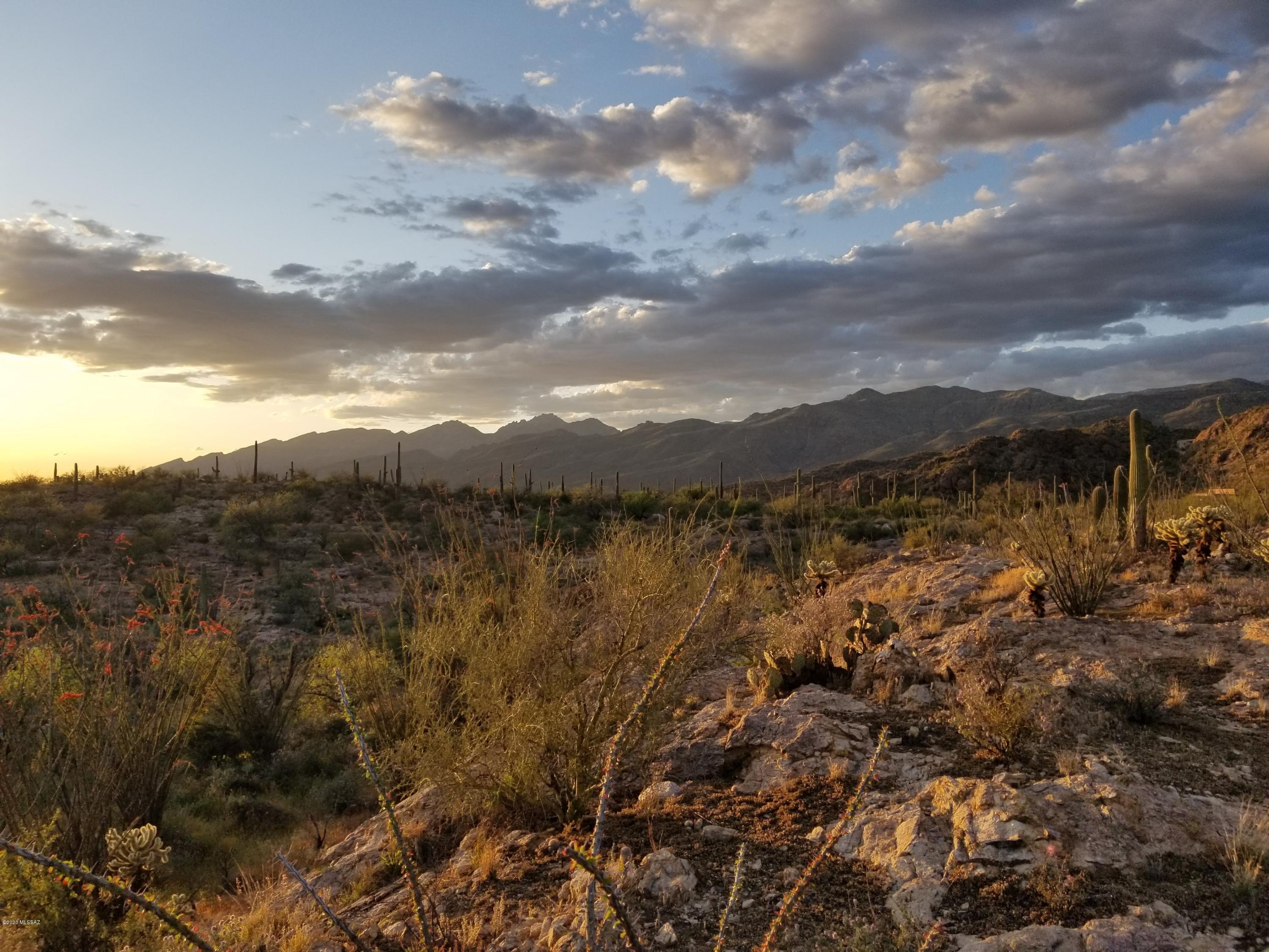 Palo Verde Ranch - Land