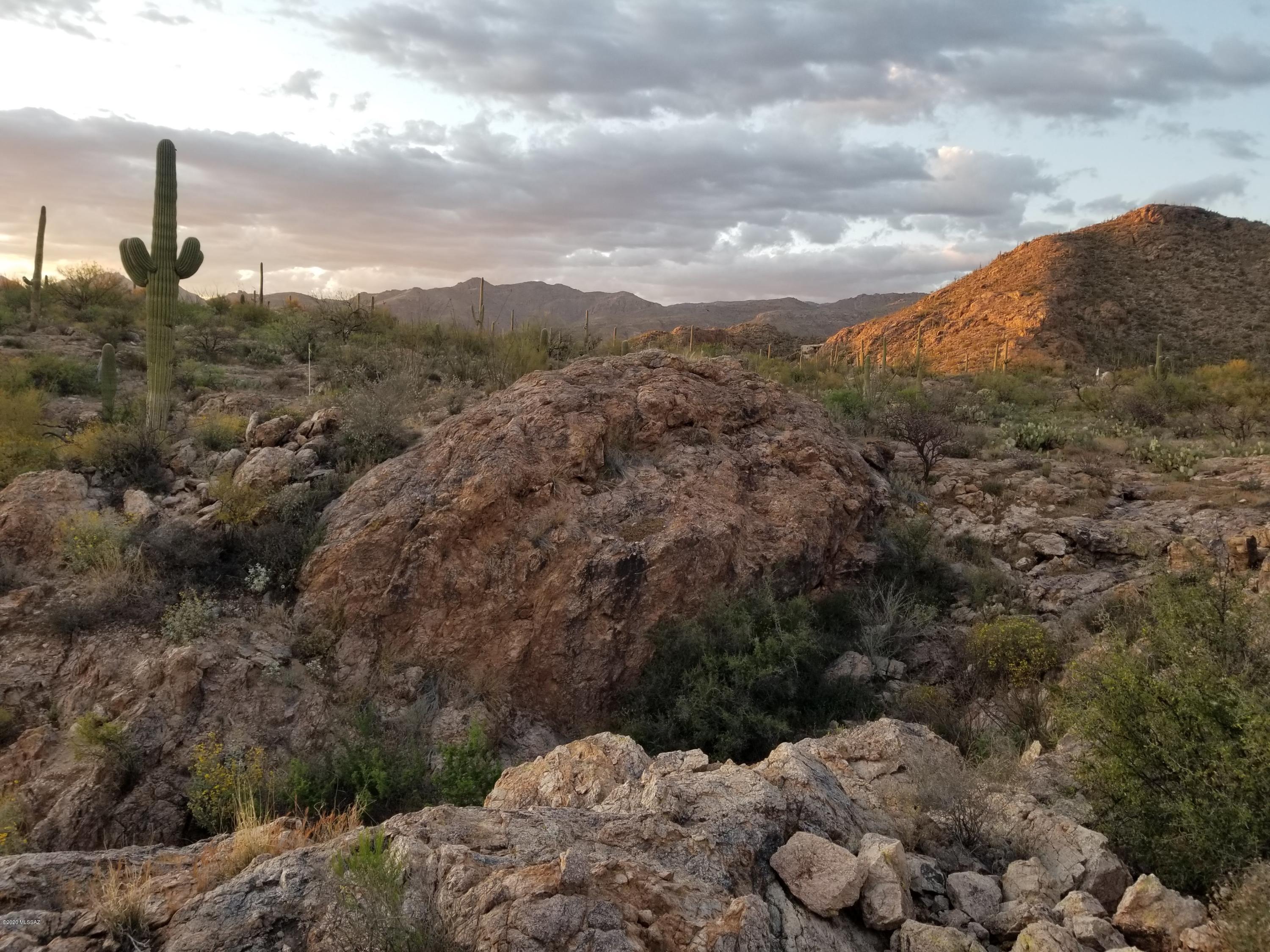 Palo Verde Ranch - Land