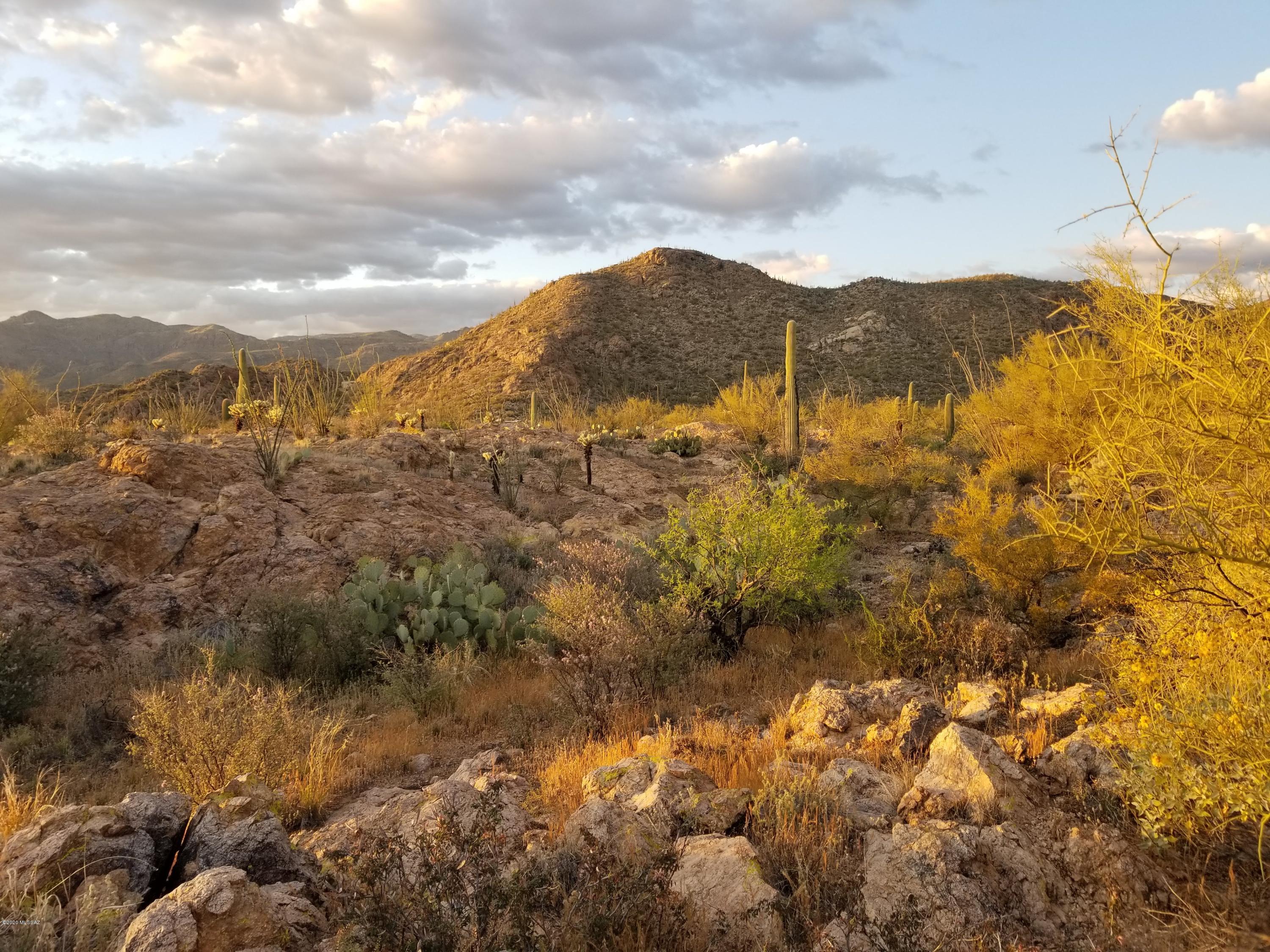 Palo Verde Ranch - Land