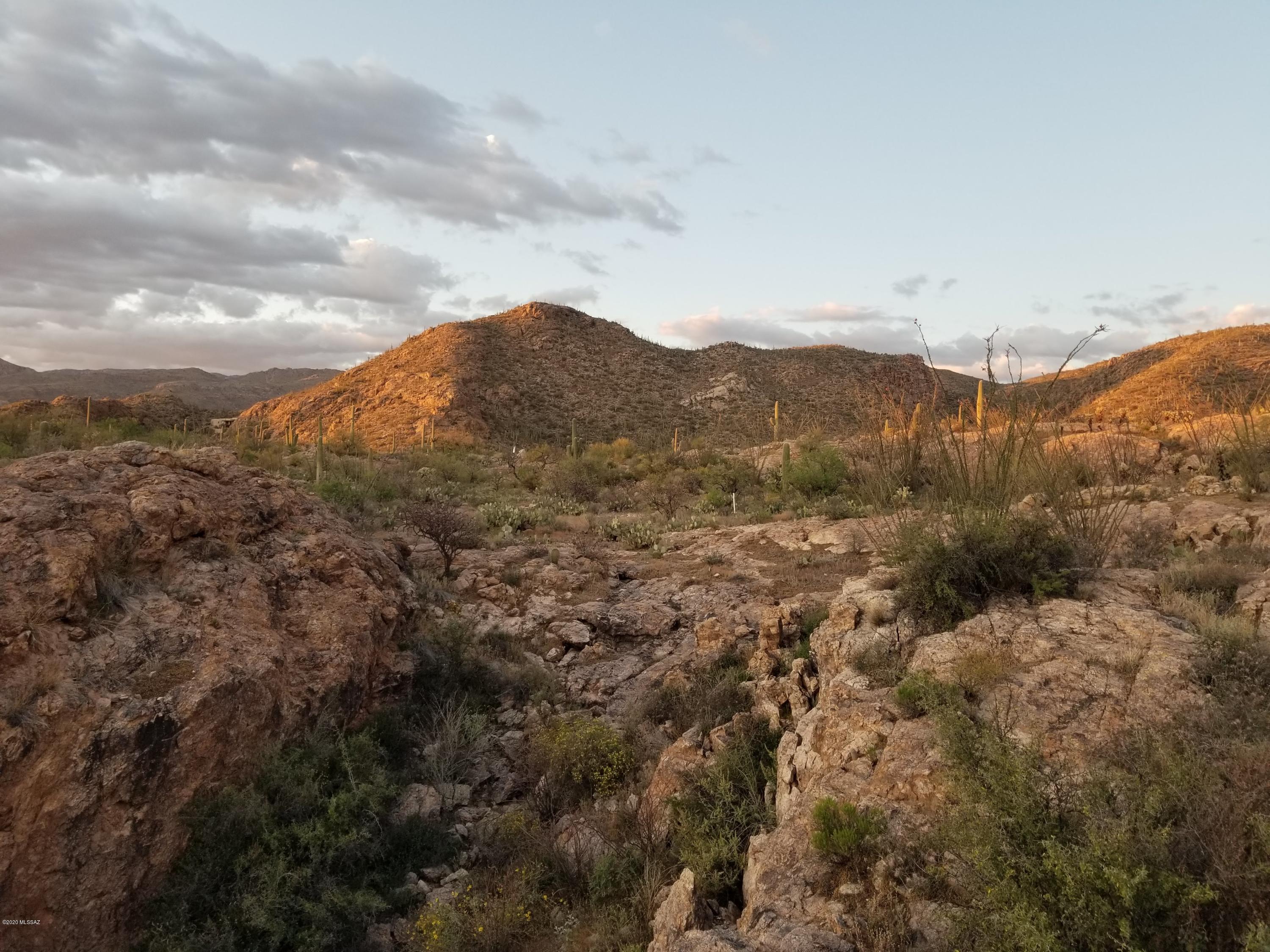 Palo Verde Ranch - Land
