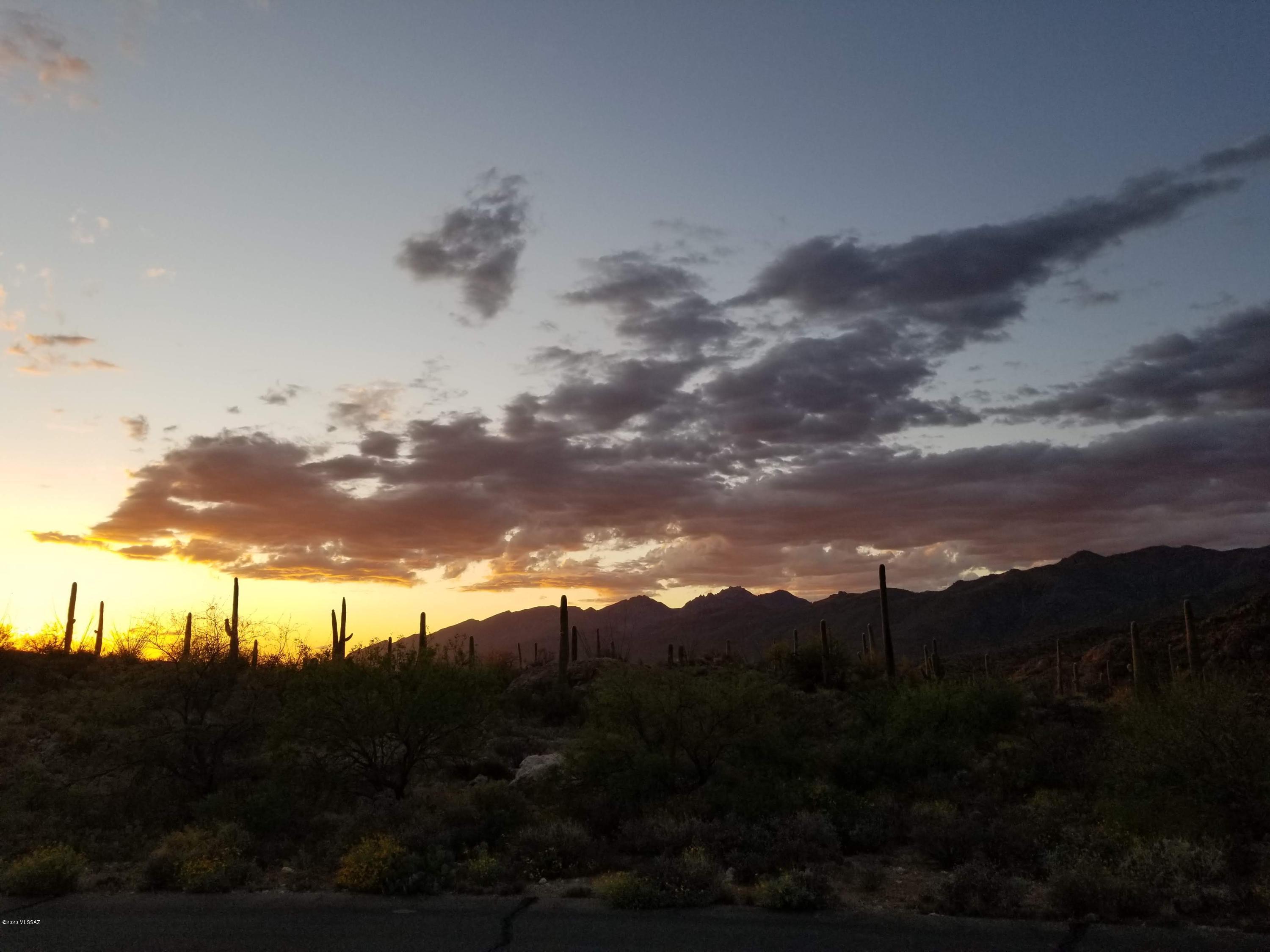 Palo Verde Ranch - Land