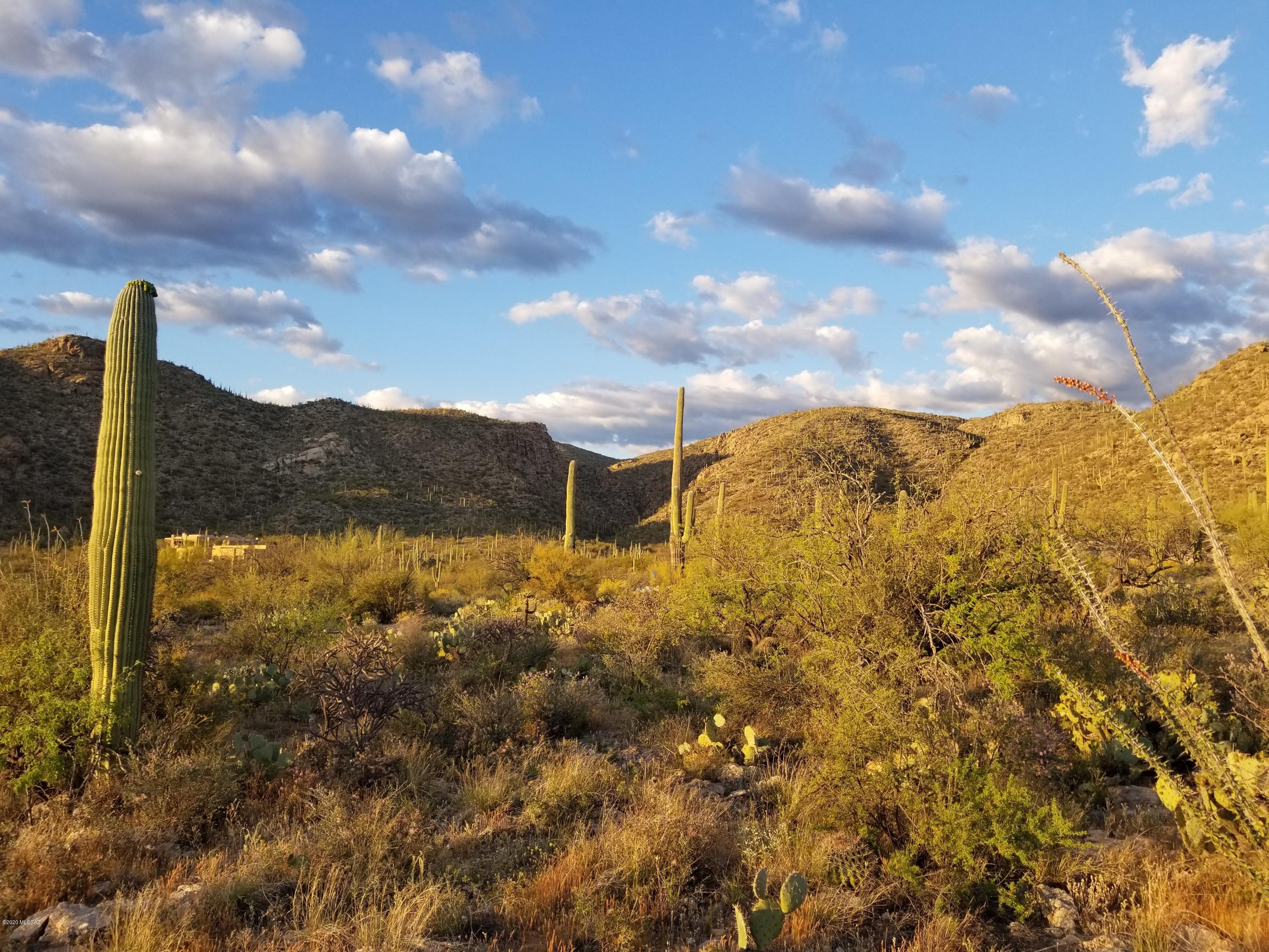 Palo Verde Ranch - Land