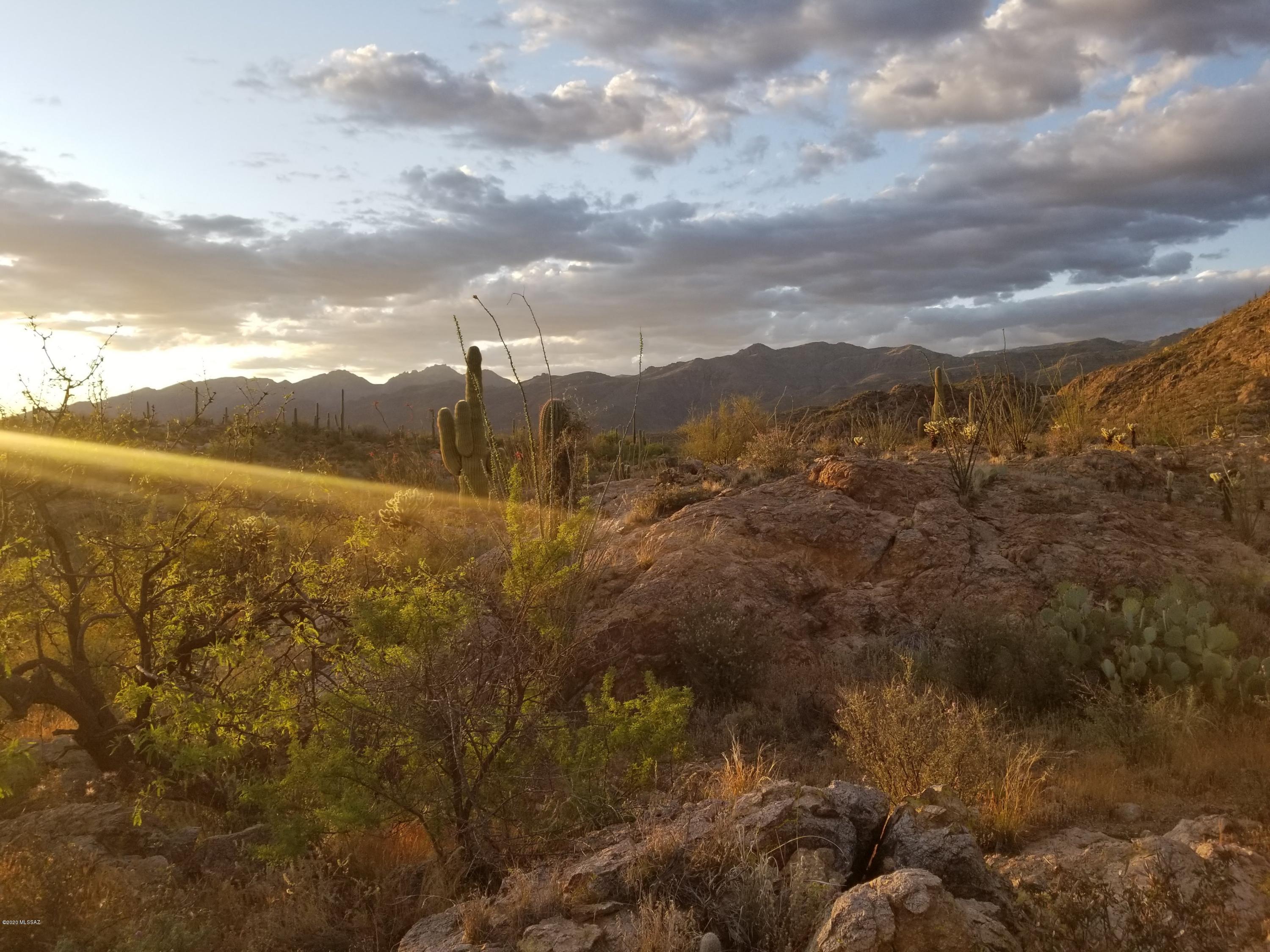 Palo Verde Ranch - Land