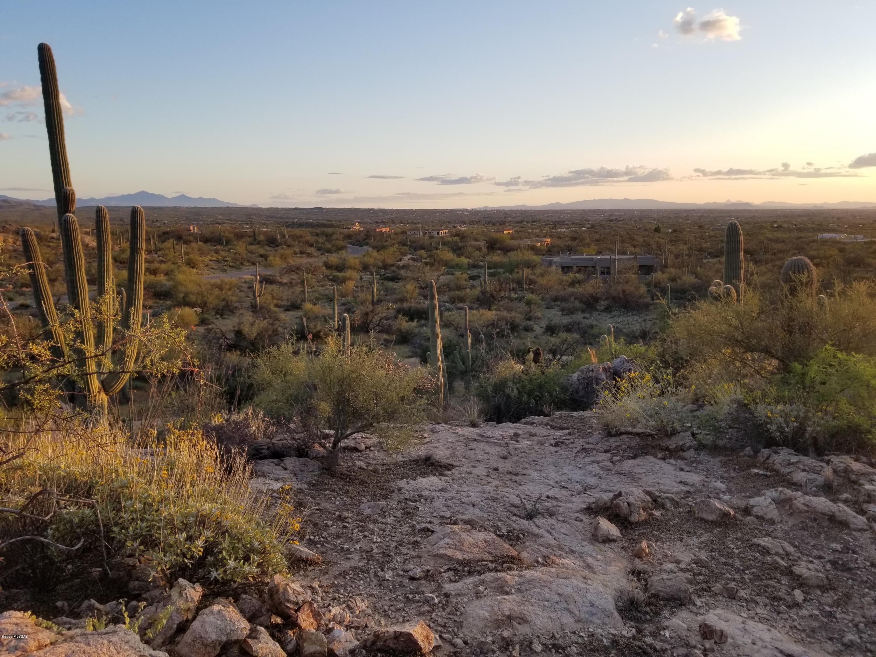 Palo Verde Ranch - Land