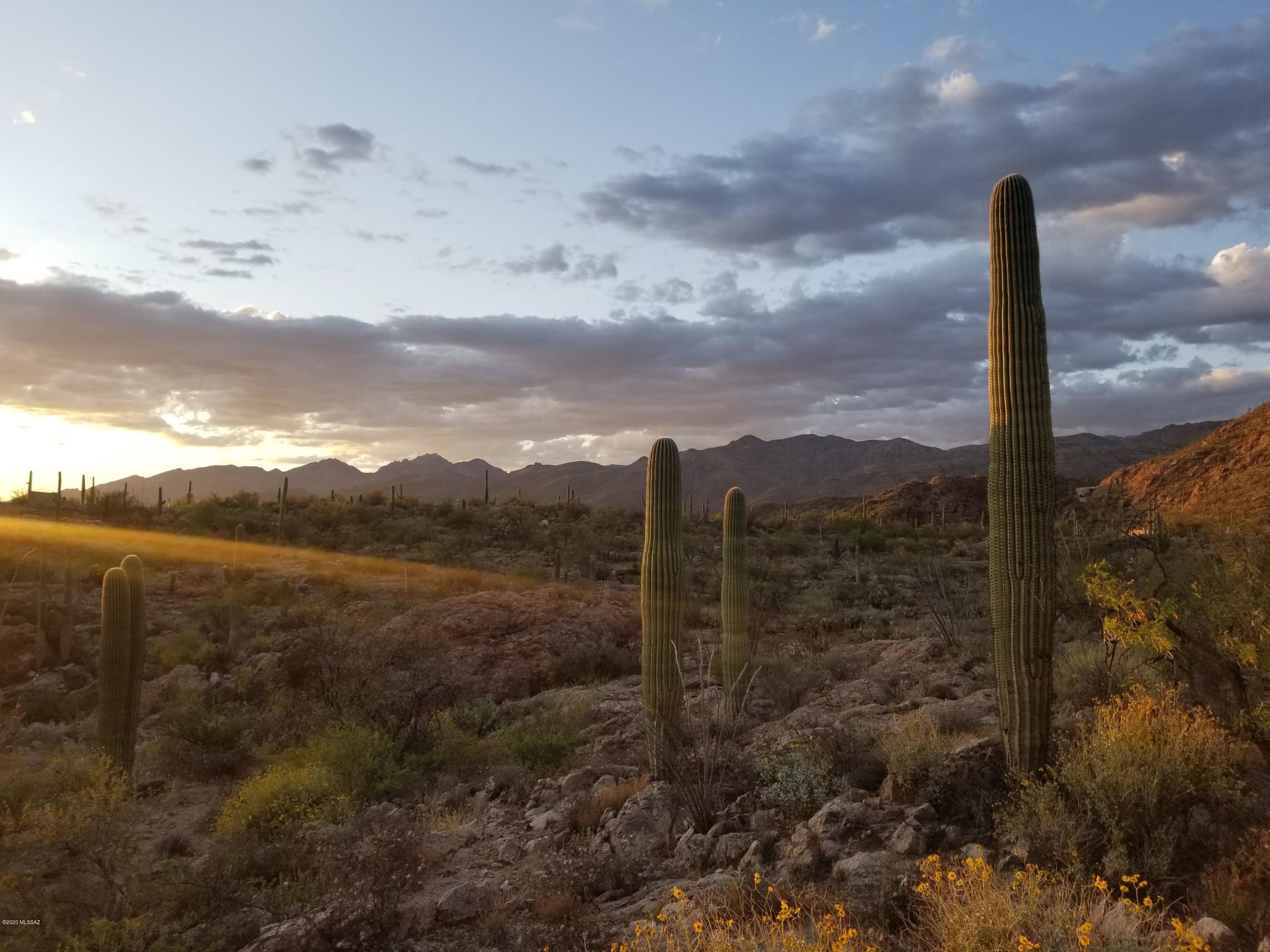Palo Verde Ranch - Land
