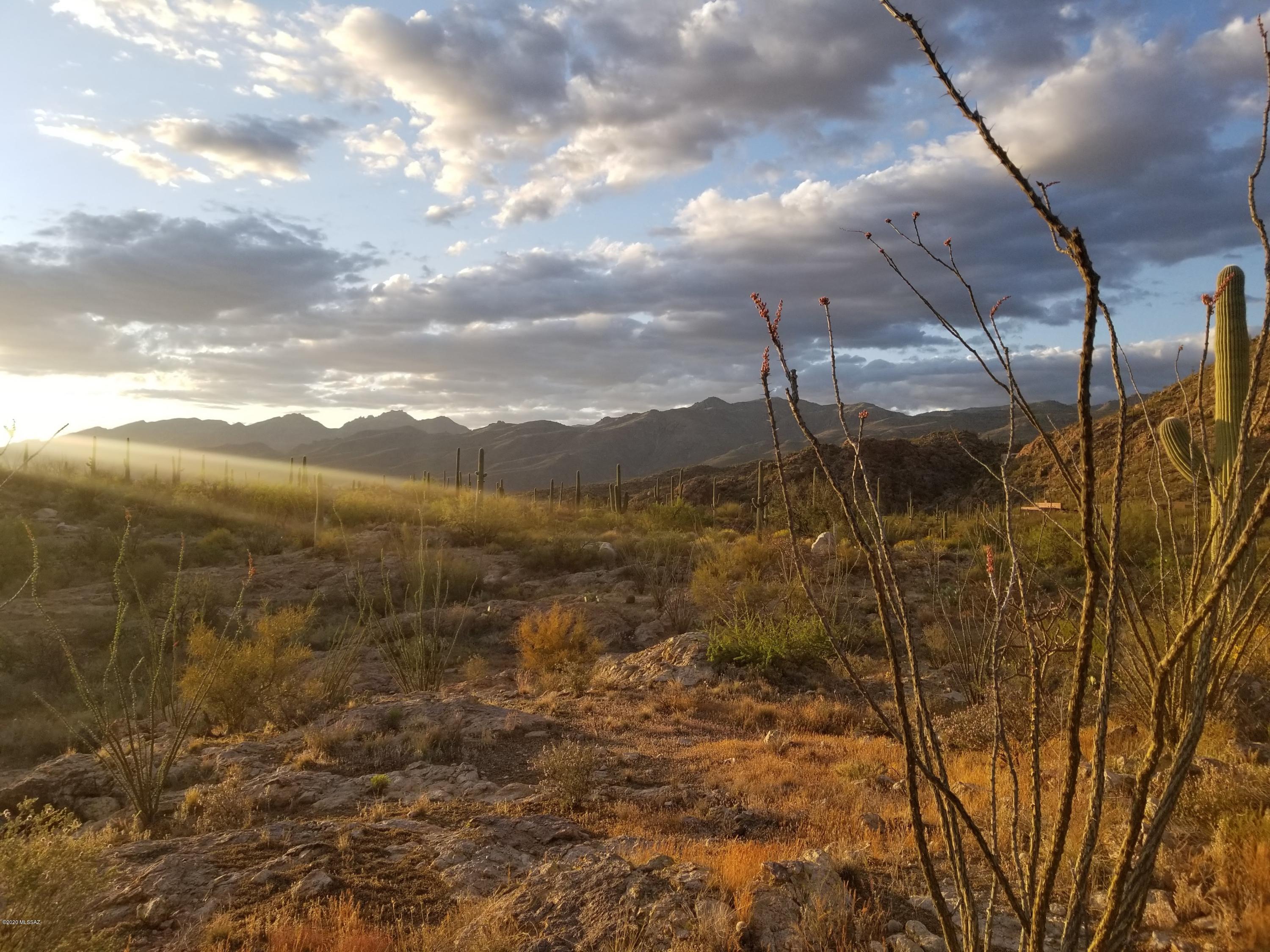 Palo Verde Ranch - Land