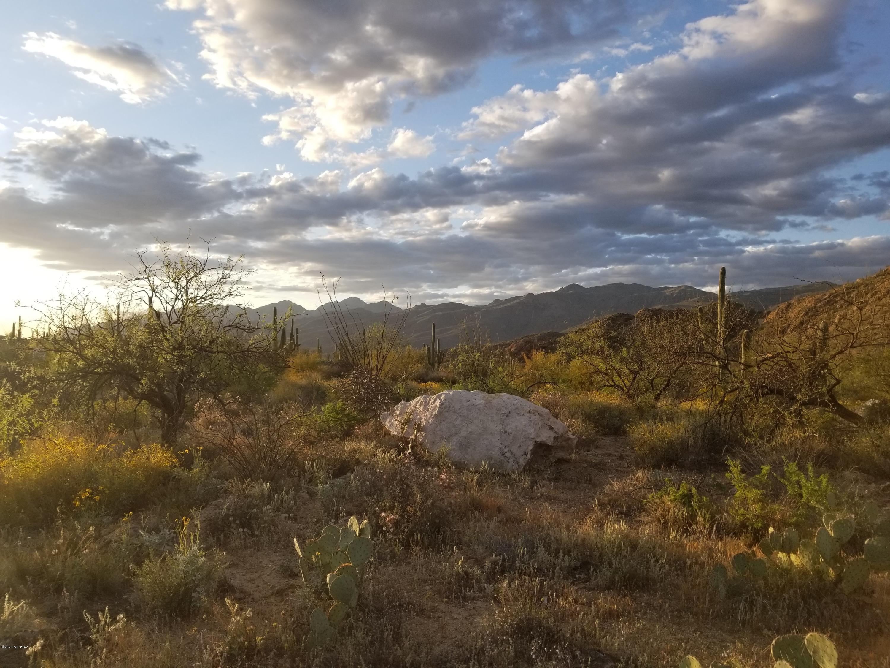 Palo Verde Ranch - Land
