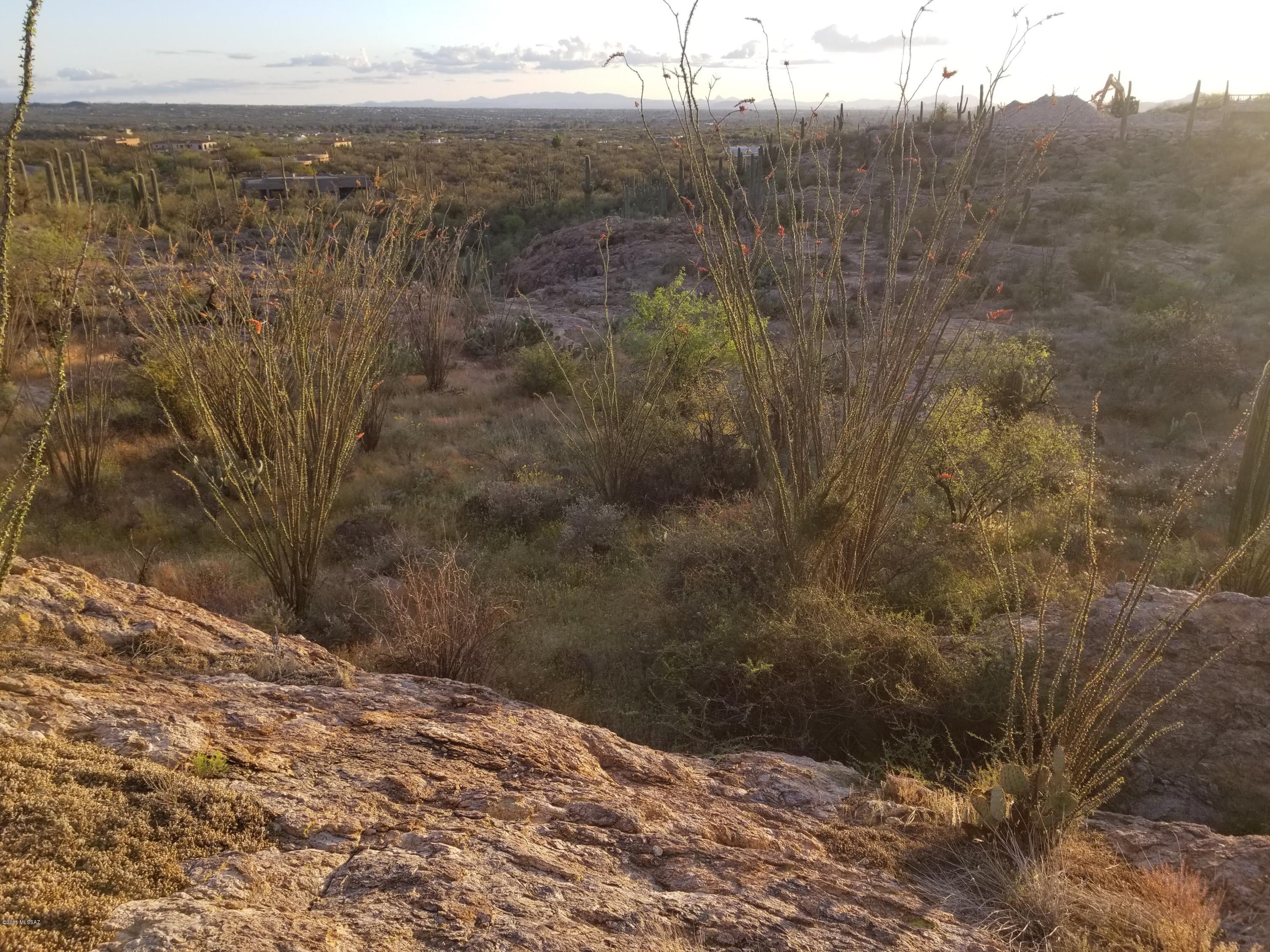 Palo Verde Ranch - Land