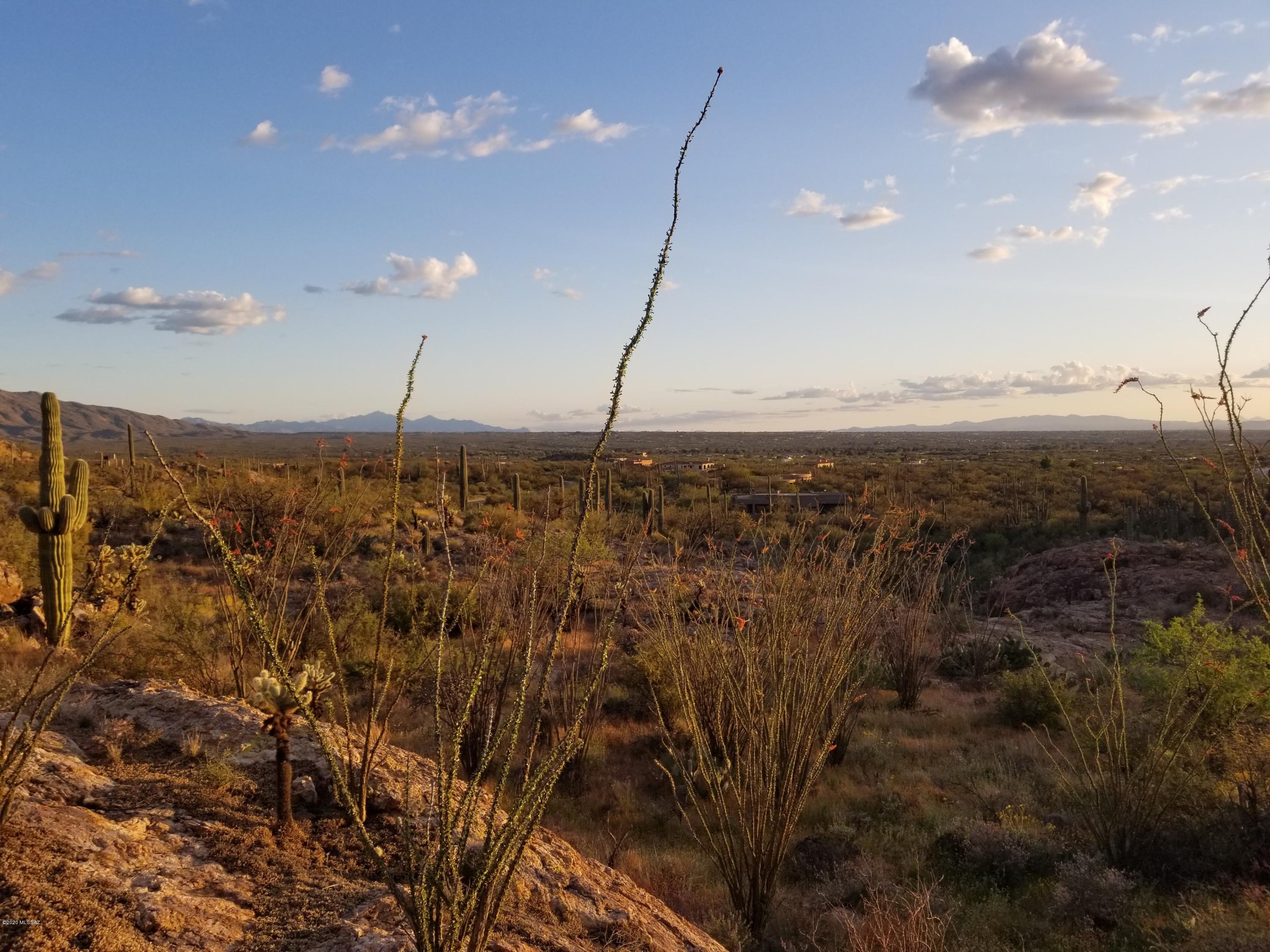 Palo Verde Ranch - Land