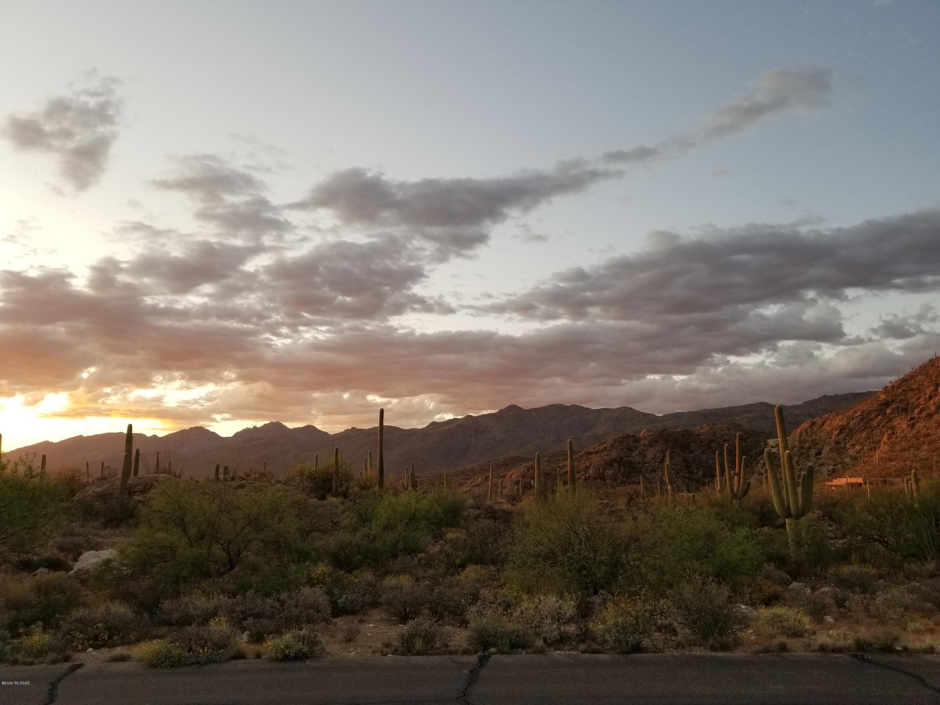 Palo Verde Ranch - Land