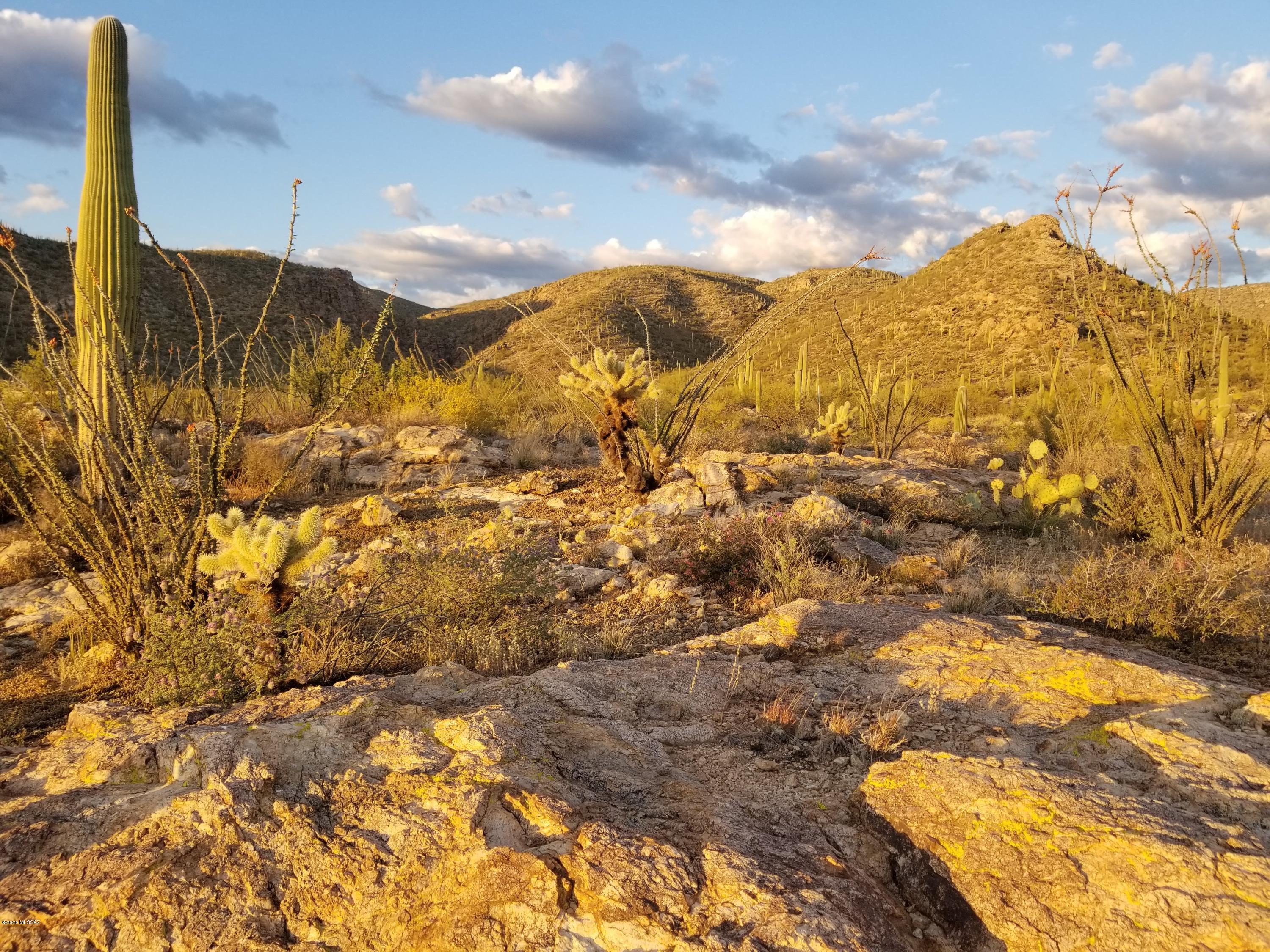 Palo Verde Ranch - Land