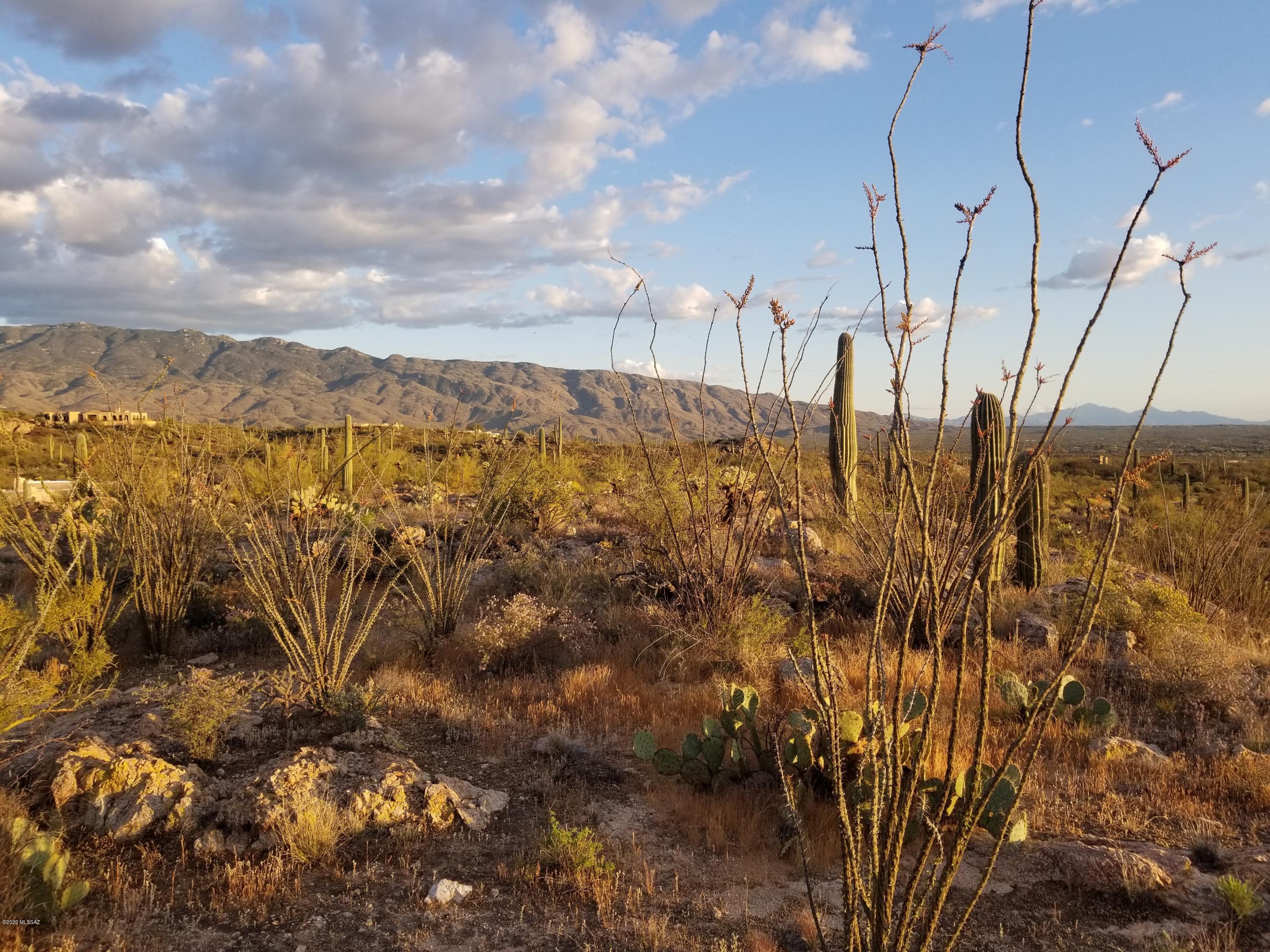 Palo Verde Ranch - Land